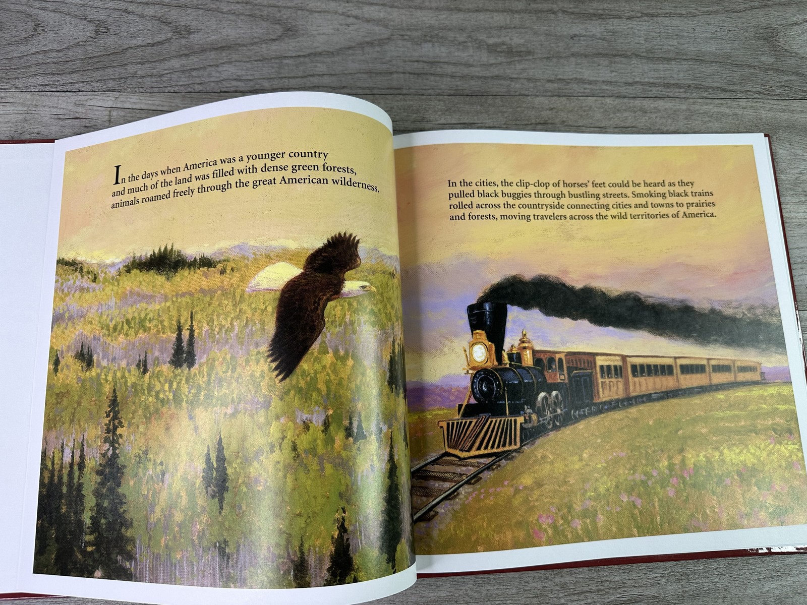 The Legend of the Teddy Bear by Frank Murphy HB 2000 Sleeping Bear Press
