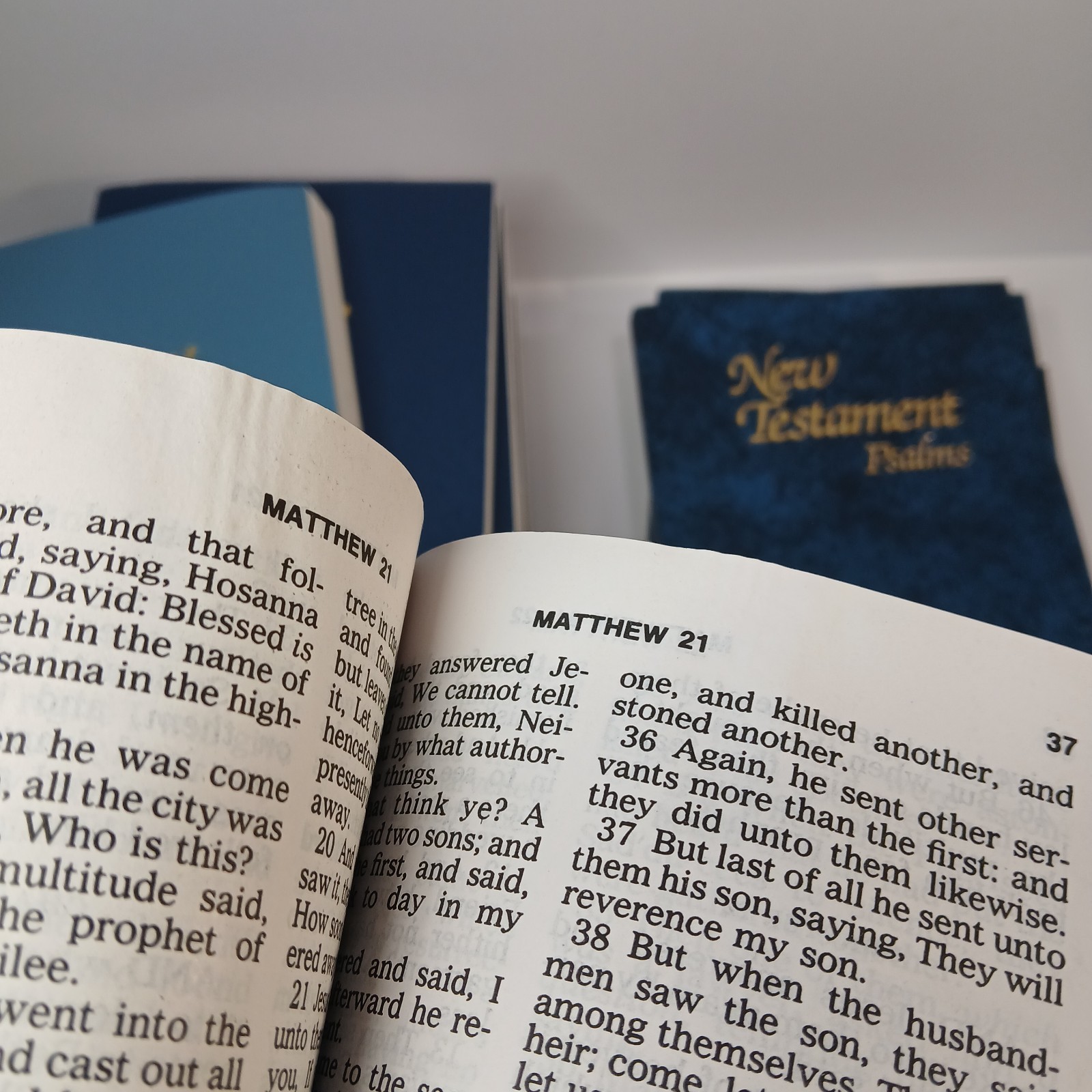 Lot of 13 New Testament Psalms KJV ESV Spanish Large Print Softcover 8.25 x 5.25