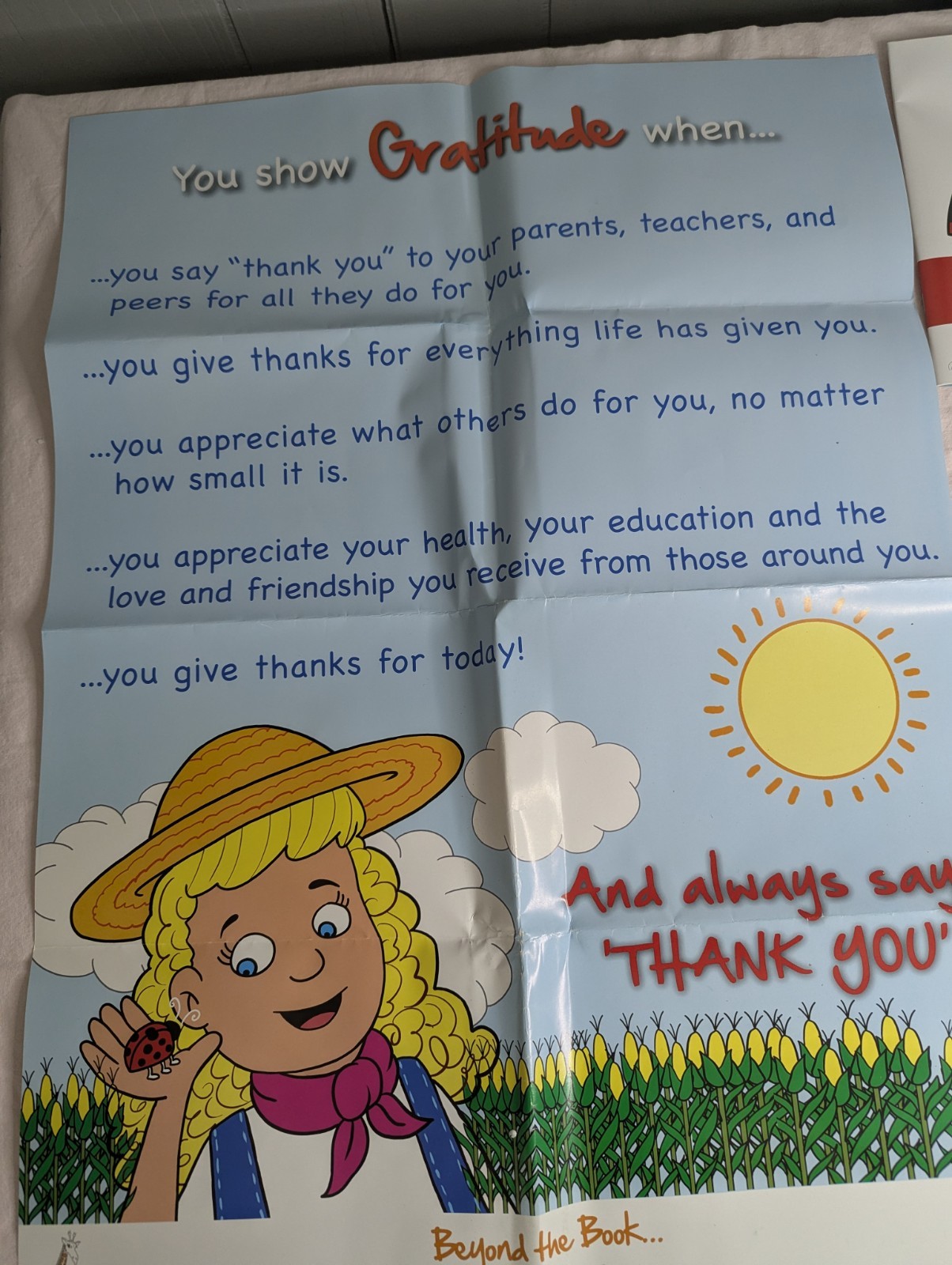 Home School Teachers Cloud 9 world character book GRATITUDE 2nd-5th poster kit