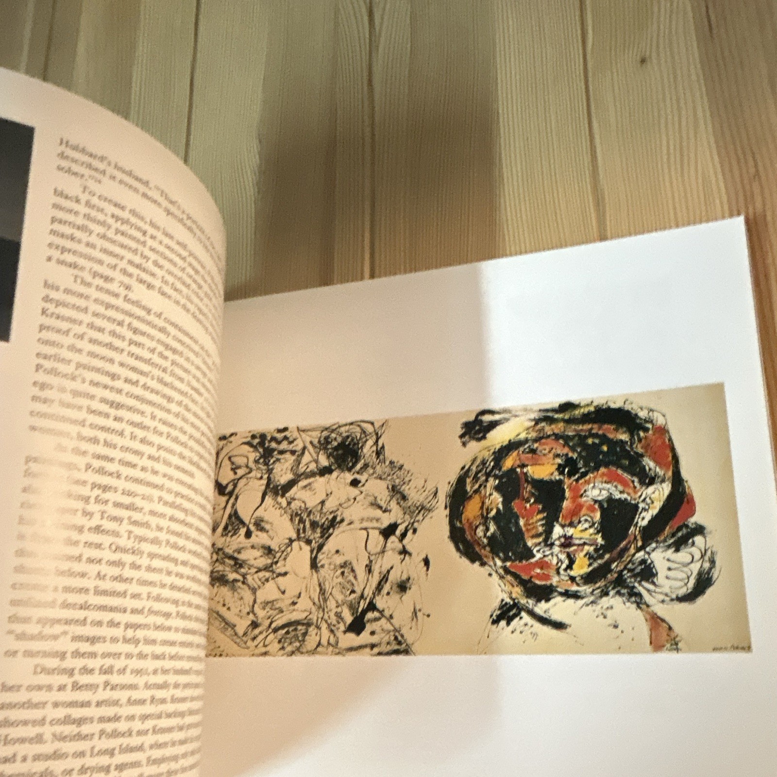 Harry N. Abrams Jackson Pollock Ellen G. Landau Illustrated (2005, PB)