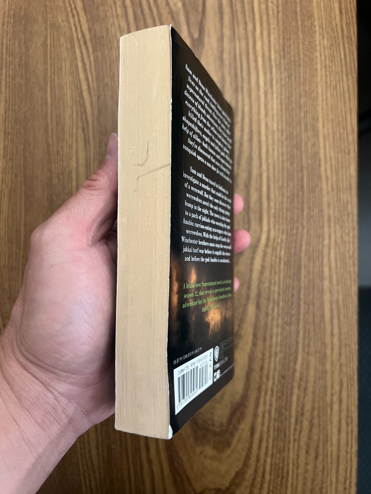 GOOD Supernatural – Children of Anubis by Tim Waggoner (2019, Mass Market)