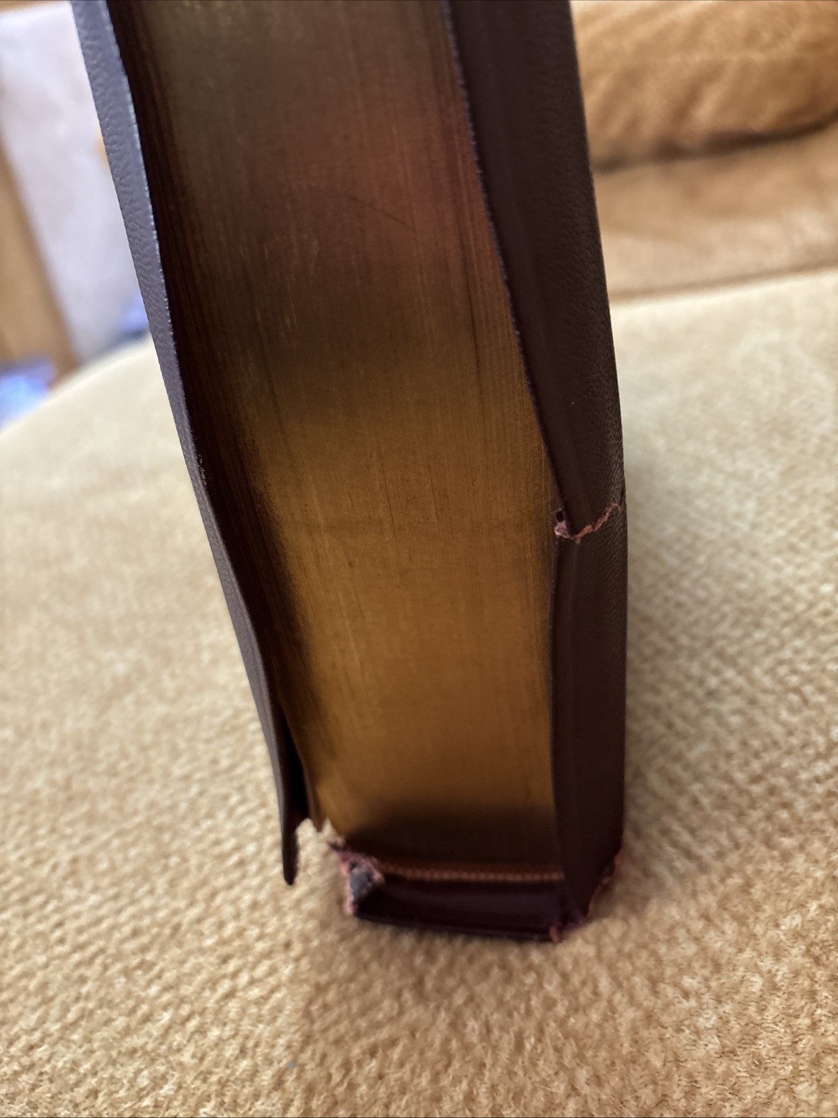 The Catholic Press Holy Family Edition of the Holy Bible 1950 Printed USA – EUC