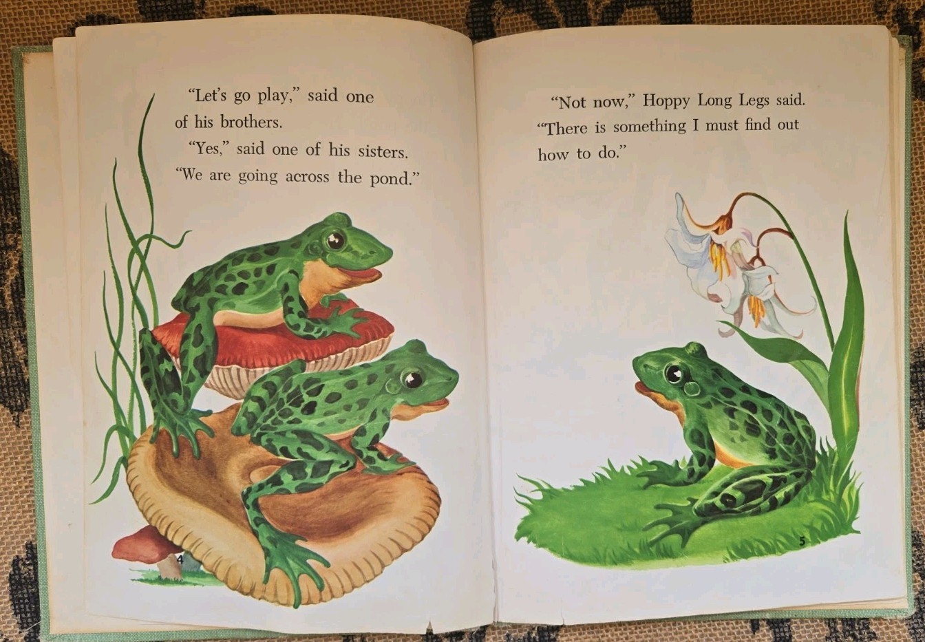 Stories about Frogs Childrens Book Lot Freddie the Frog, Hoppy Long Legs, Gorky