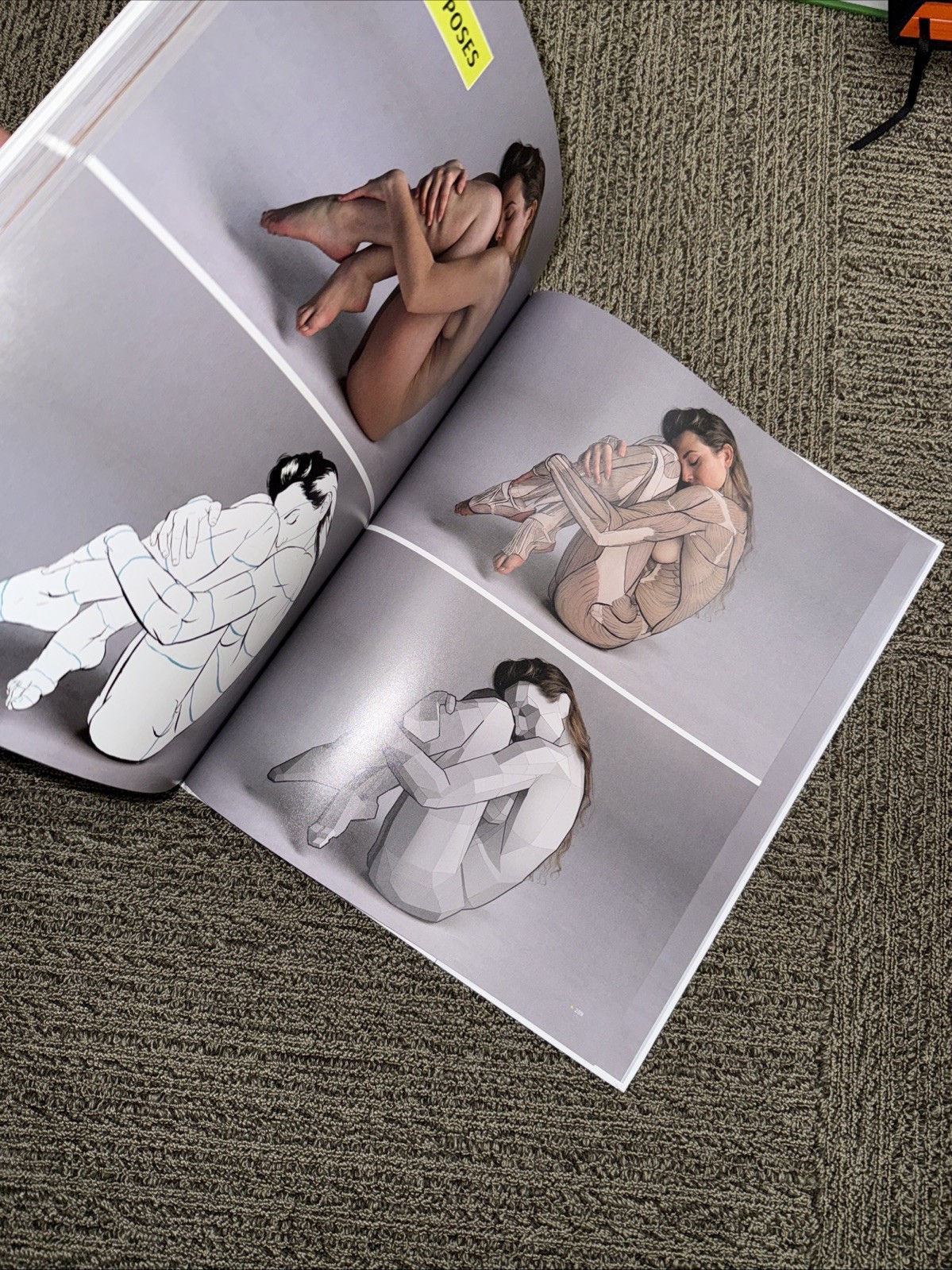 ANATOMY FOR ARTISTS: A VISUAL GUIDE TO THE HUMAN FORM By 3dtotal Publishing NEW