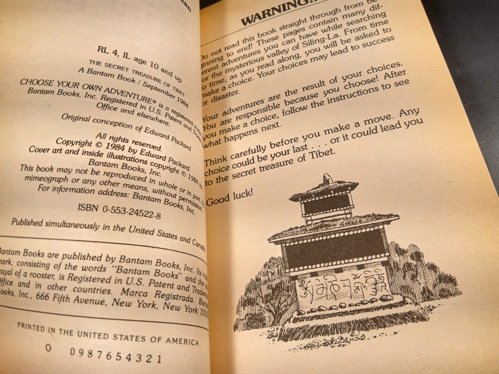 The Secret Treasure Of Tibet Choose Your Own Adventure #36 1st Print 1984 CYOA