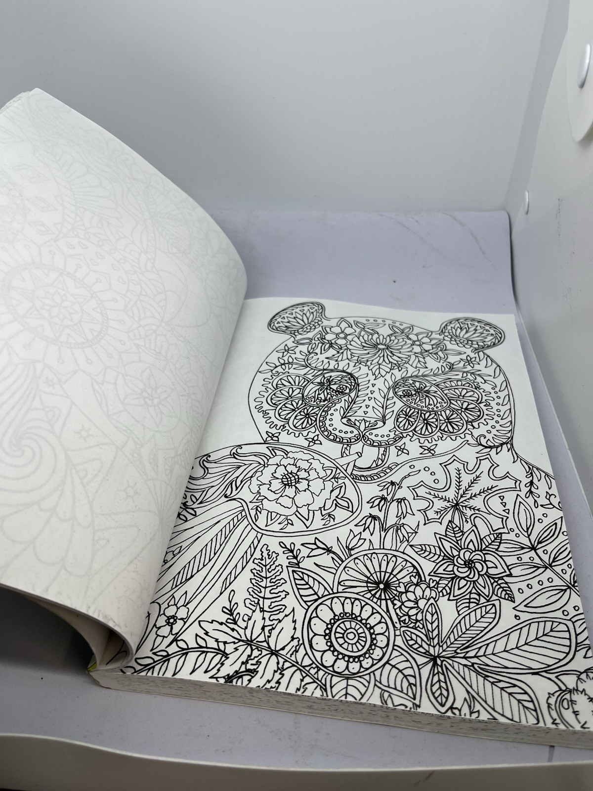Color Your World: An Adult Coloring Book – 11×7.5″ – Large Art Coloring Book