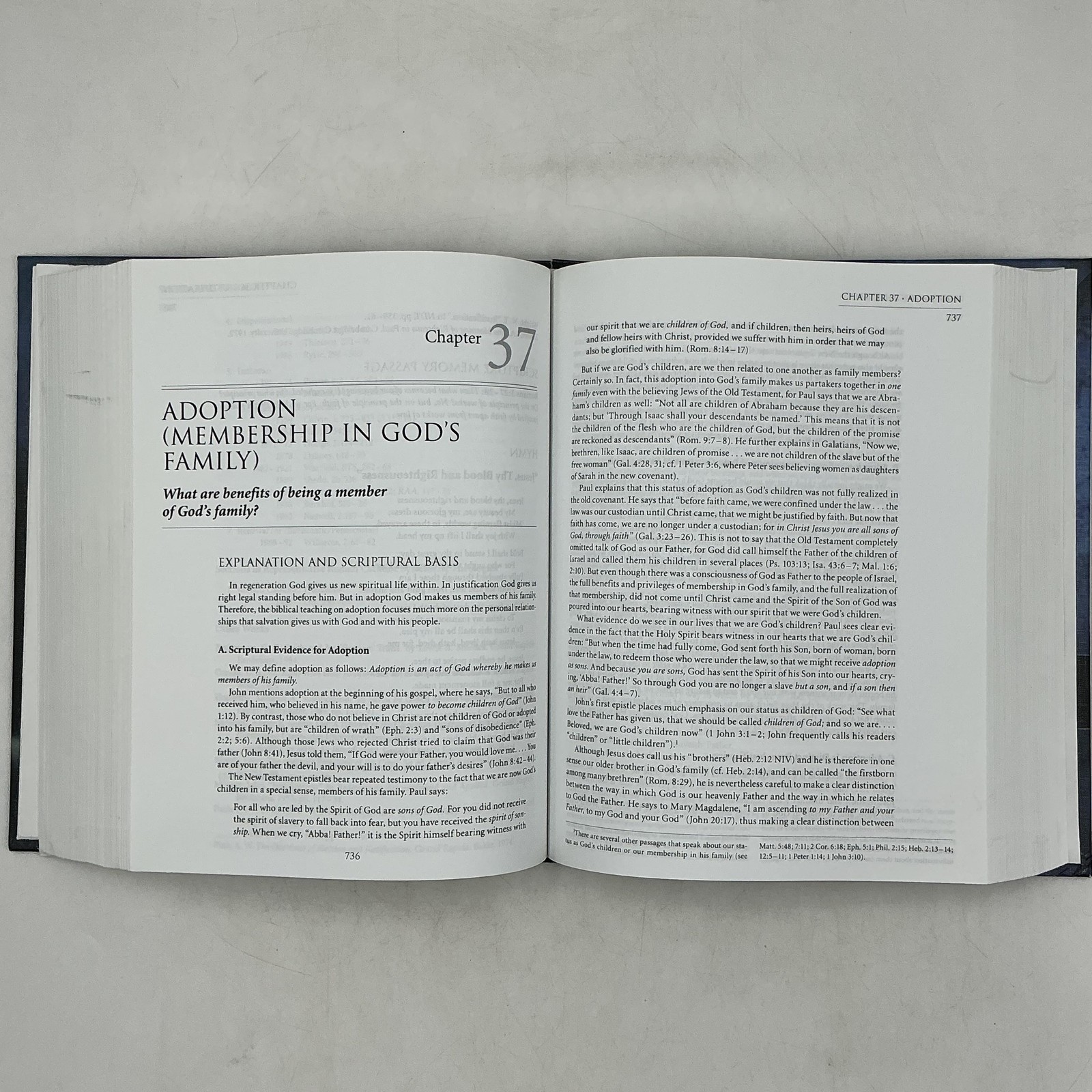 Systematic Theology An Intro Wayne Grudem 1994 Blue HC Zondervan Dust Jacket