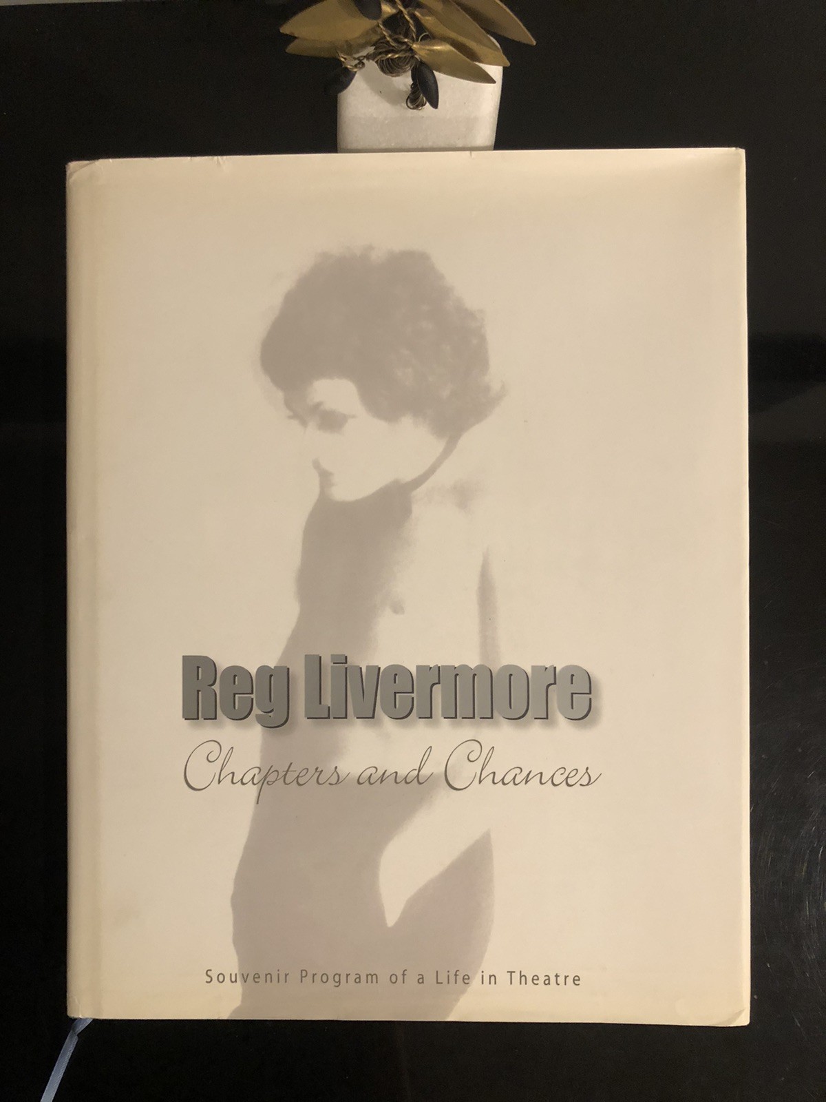 Reg Livermore Chapters And Chances H G B 2003 First Ed/F.Print HC DJ LN 🇦🇺🎭
