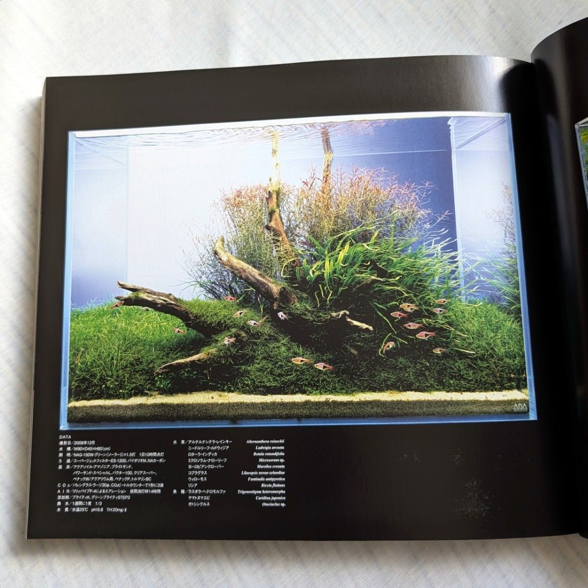 Takashi Amano: Nature Aquarium Works, Photo Book, ADA, Rare