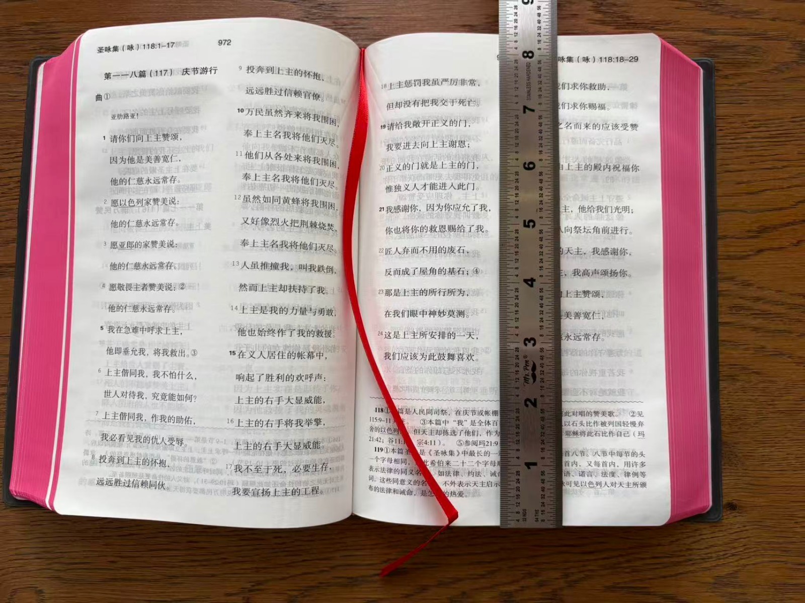 Catholic Chinese Bible Studium Biblicum 思高圣经 天主教 简体中文大字 25K 红边 US Stock 美国本土包邮发货