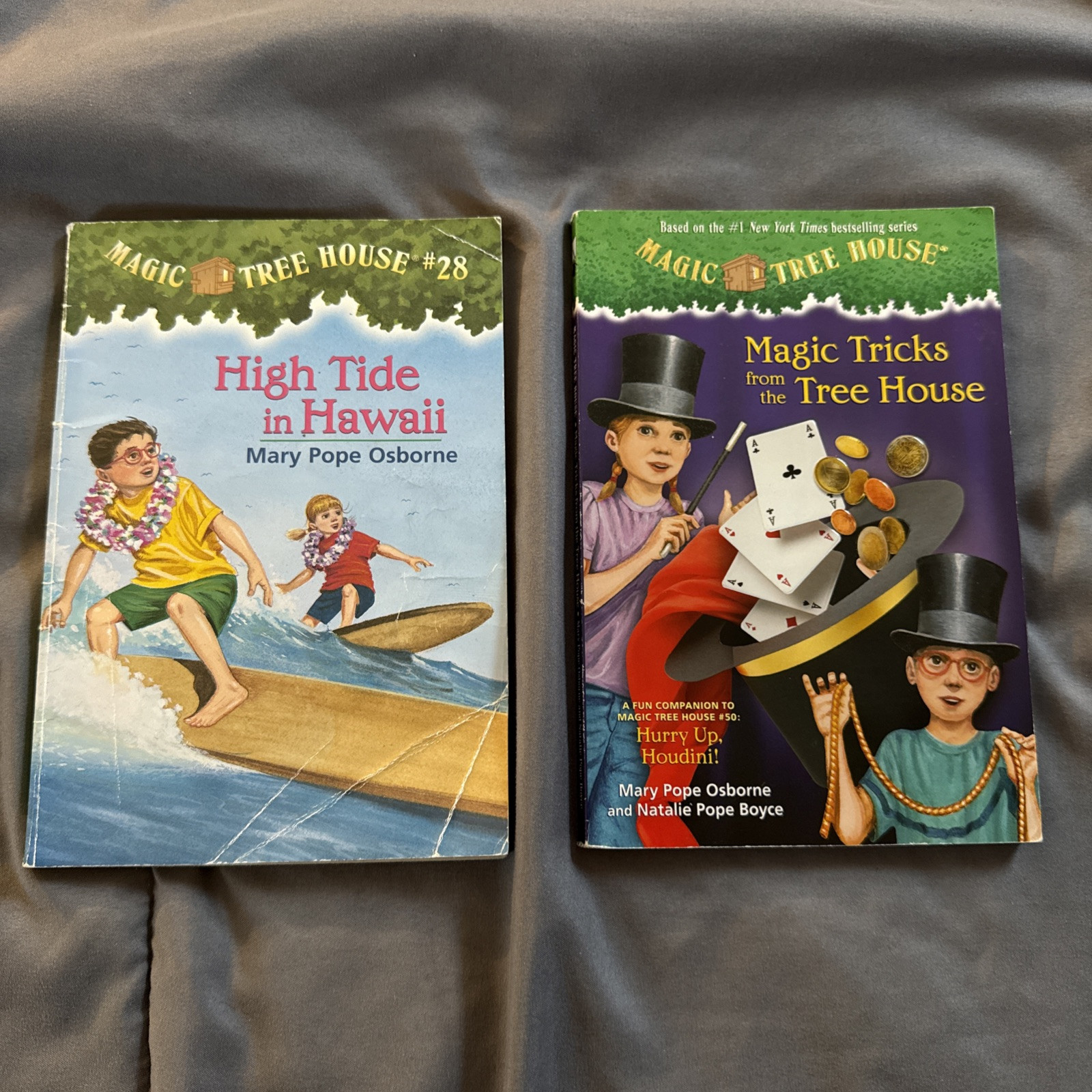 Magic Tree House High Tide in Hawaii And Magic Tricks From The Tree House Paperb