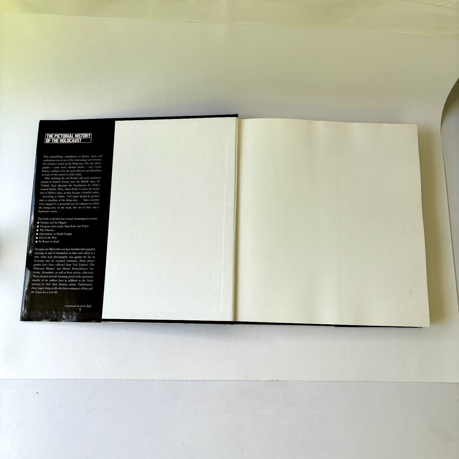 The Pictorial History of the Holocaust Arad 1990 First Printing Macmillan