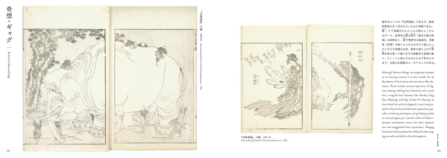HOKUSAI Art Book Japanese Ukiyo-e The Great Wave Mt Fuji Manga Influence English