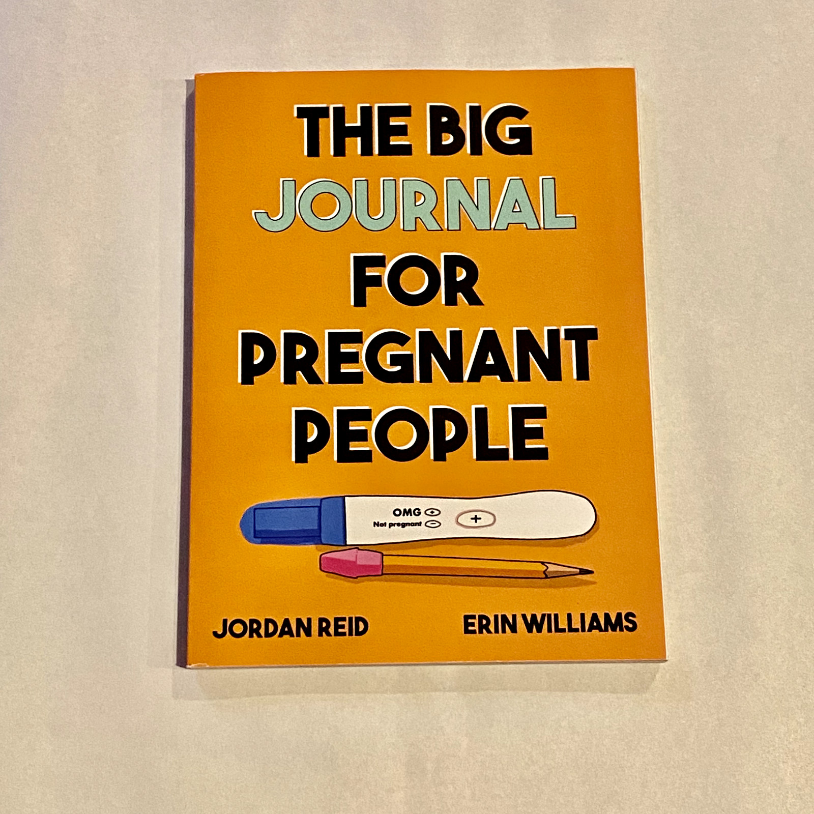 The Big Journal for Pregnant People by Jordan Reid (English) Paperback Book NEW
