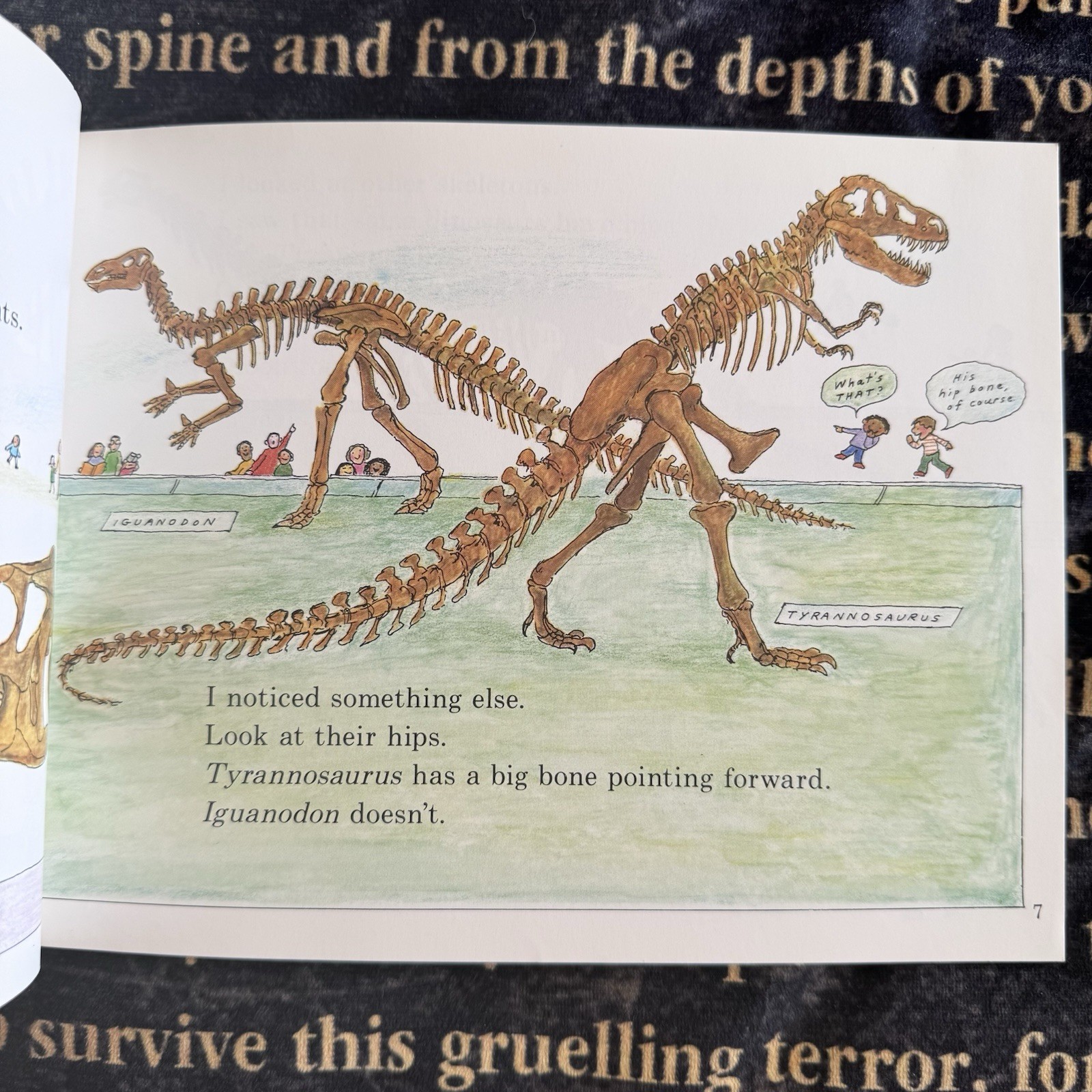 Signed Aliki Books: My Visit To The Dinosaurs And Dinosaurs Are Different -1980s