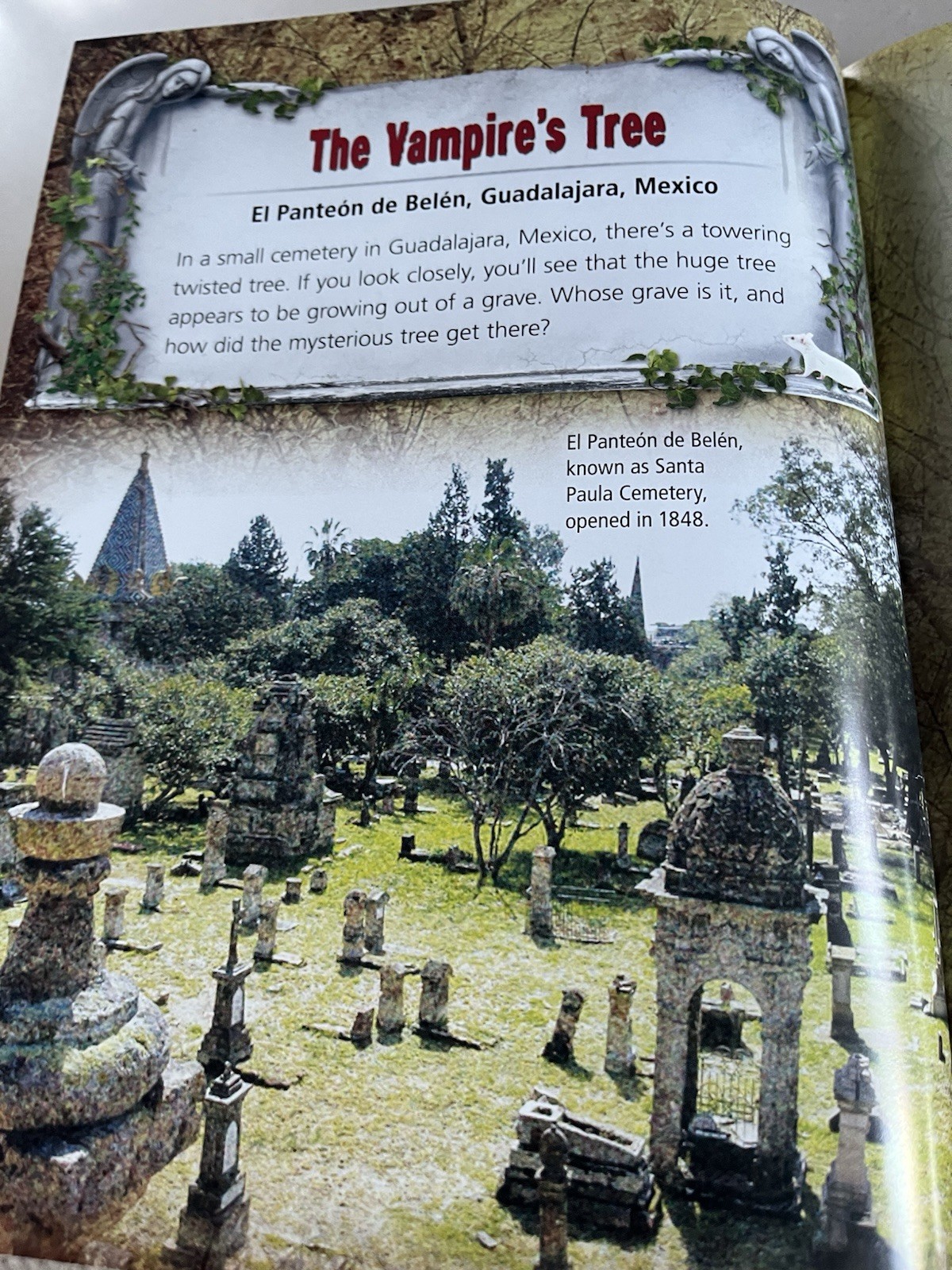 “Ghostly Graveyards” By Judy Allen HC 2016