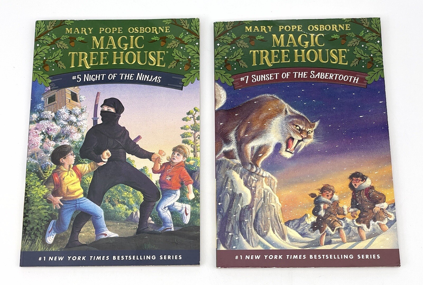 Lot 15 Magic Tree House Merlin Missions 1-5, 7-10, 20, 22, 24, 27, 29, 43 PB