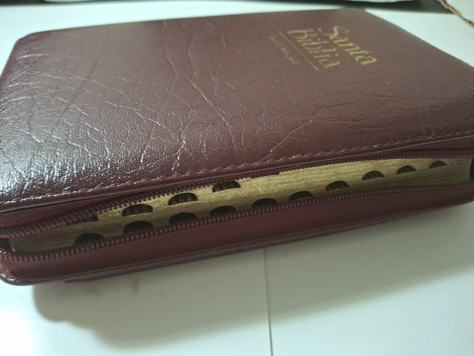 Santa Biblia Bilingual Bible RVR 1960/KJV Burgundy Imitation Leather (Spanish)