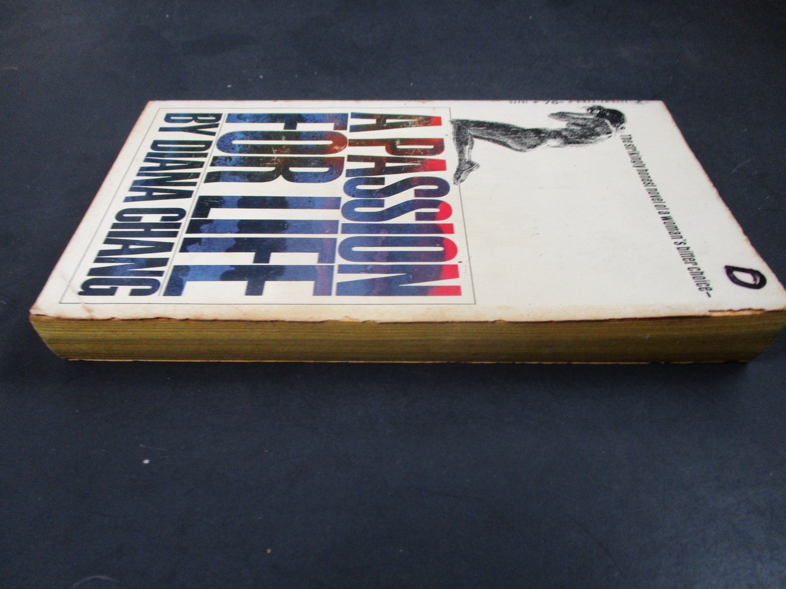 A PASSION FOR LIFE by Diana Chang Bantam Book 2nd Print 1968 Paperback PB-S3191