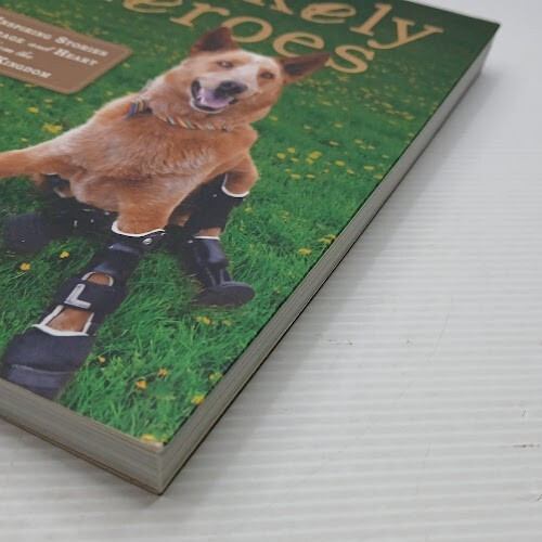 Unlikely Heroes By Jennifer S Holland Biographical/True Story Paperback In Aust