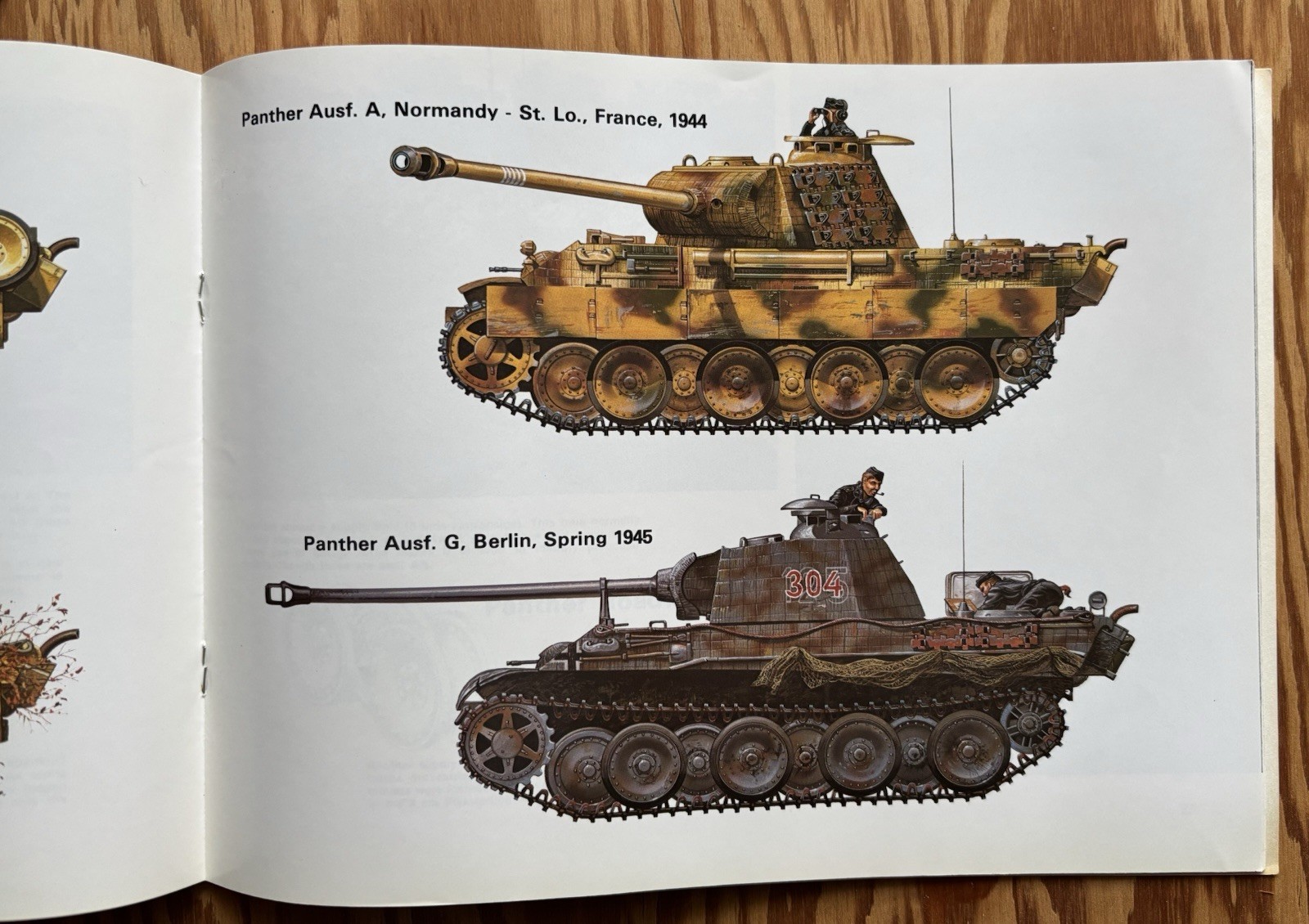 Panther, Panzergrenadiers in Action – Squadron/Signal Lot Of 2 Books