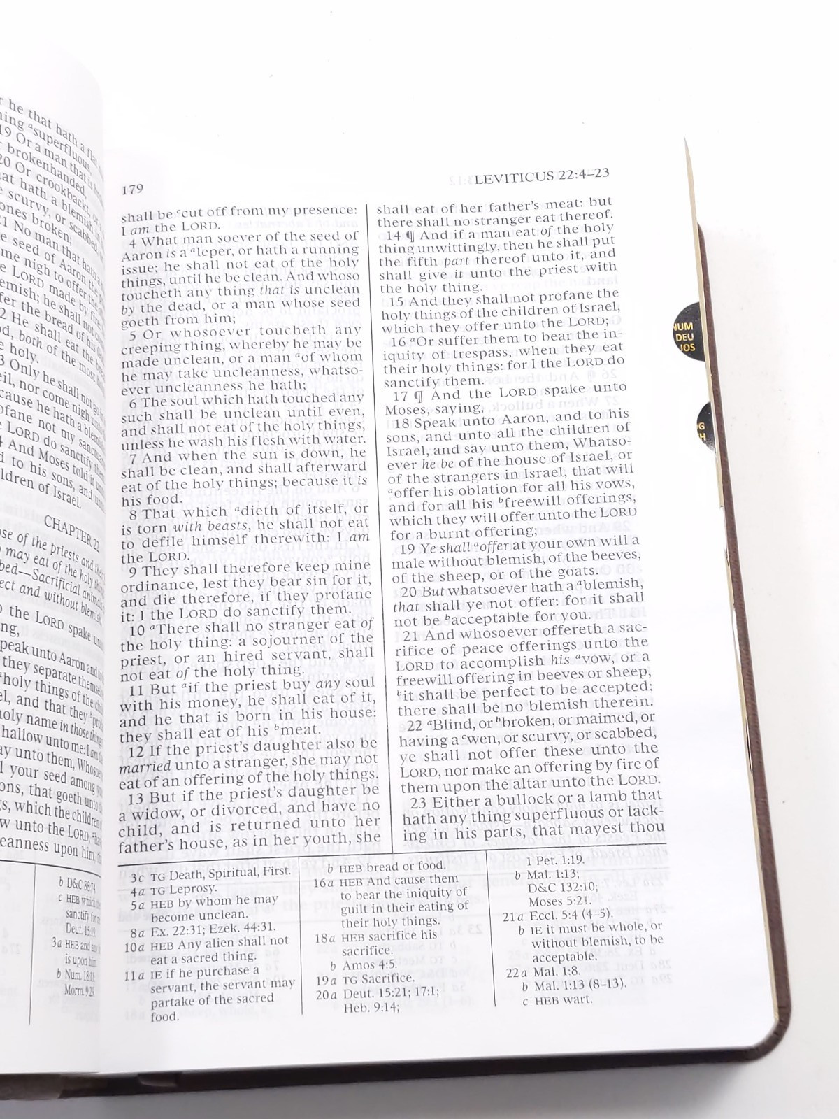 KJV Bible & Triple Combination (Simulated Leather Walnut Brown) Personalized