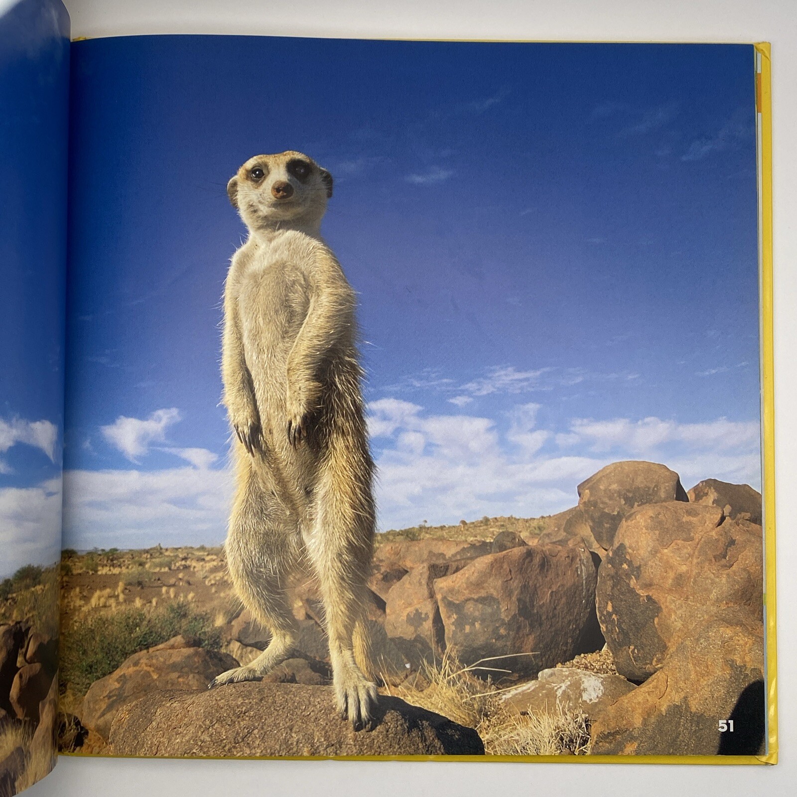 National Geographic Little Kids First Big Book of Animals Catherine D. Hughes HC