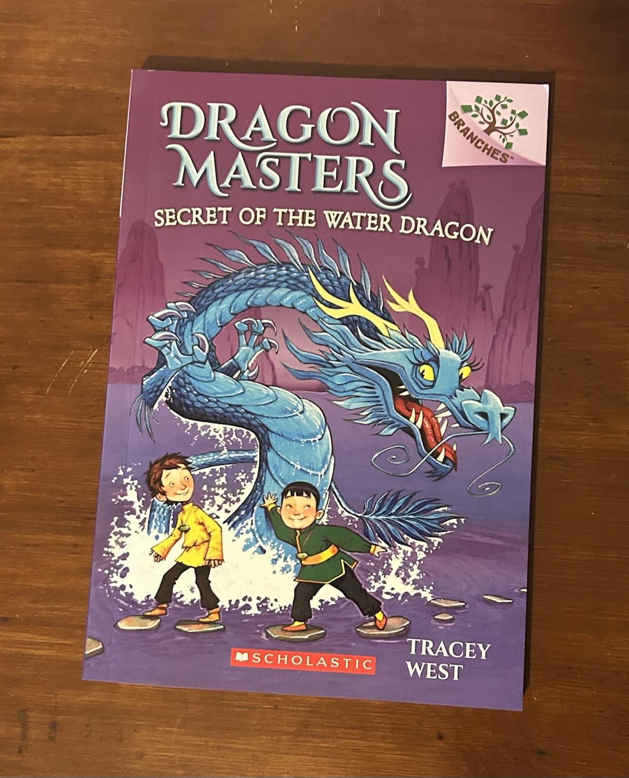 Dragon Masters Books 3,4,5,7 Branches Early Chapter Books Tracey West