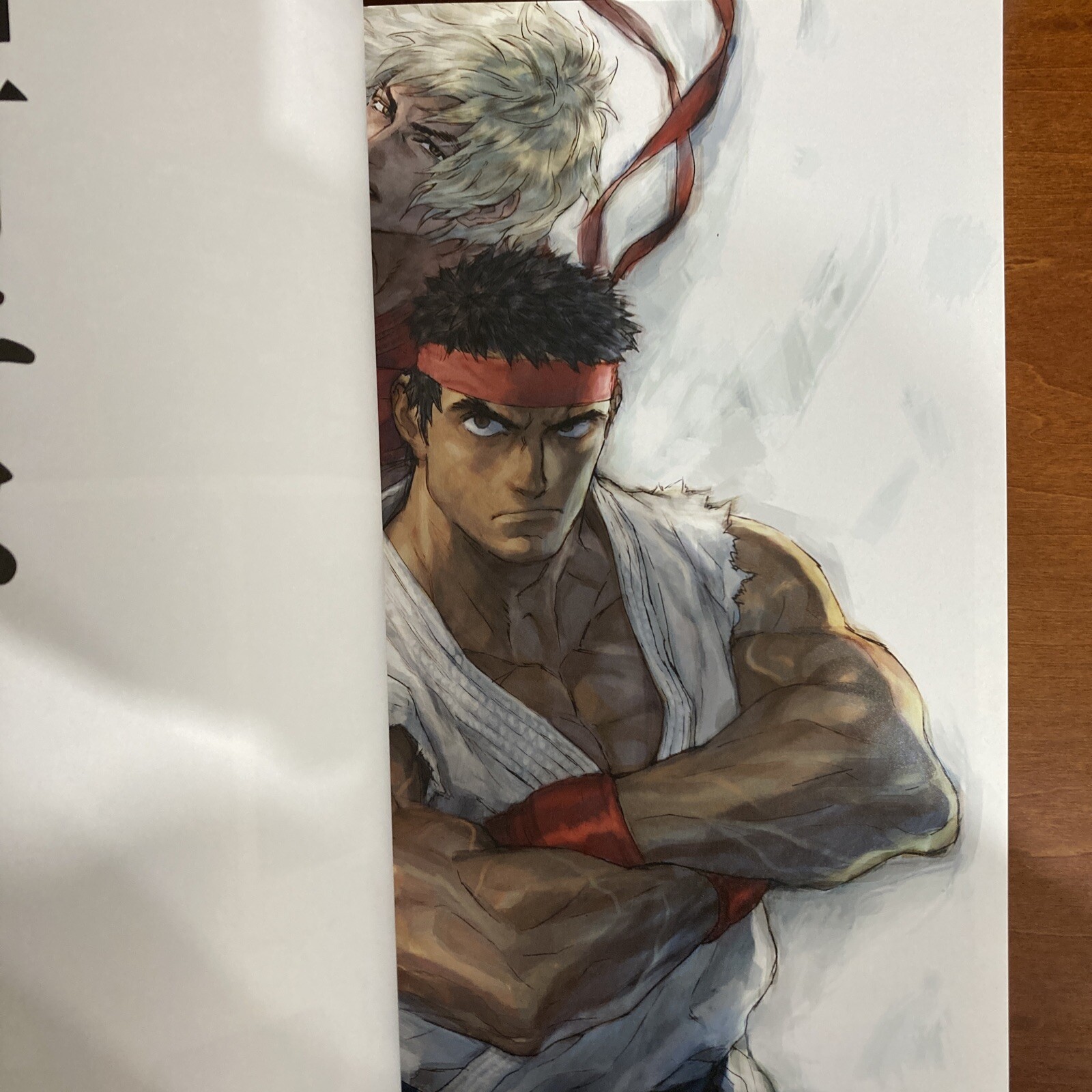 Street Fighter Artworks Kyoku Art Book Illustration