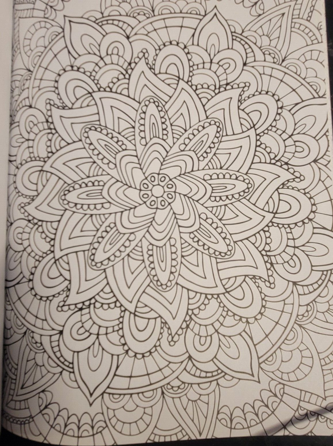 COLOR ME MAGNIFICENT Vol 12 Adult Coloring Book With 47 Prints Ready To Frame