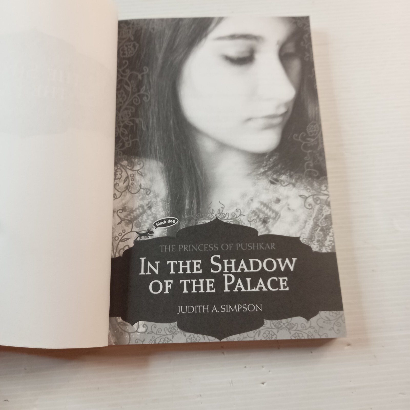 In The Shadow Of The Palace: The Princess Of Pushkar by Judith A. Simpson PB