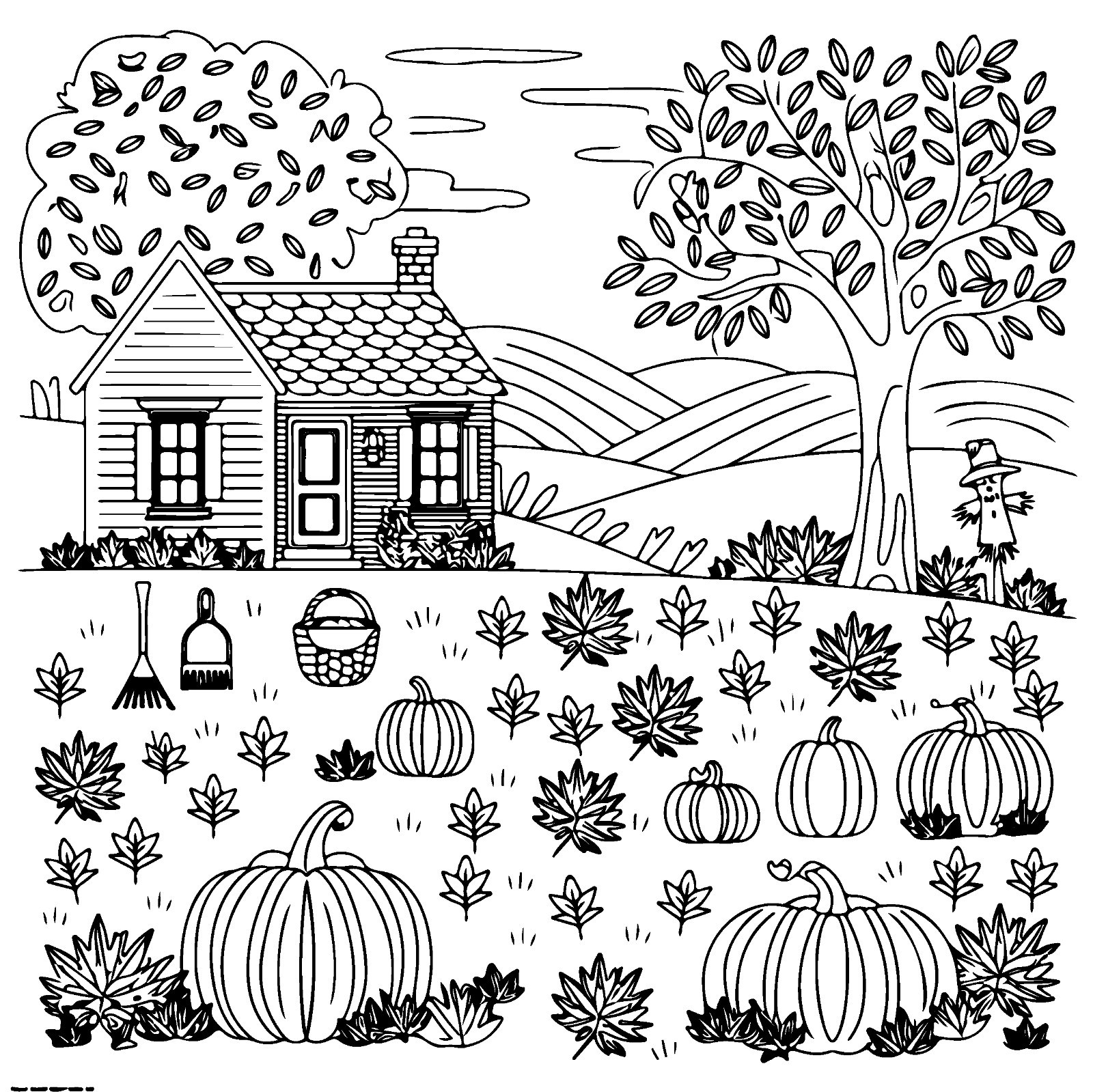 Fall Vibes Coloring Book