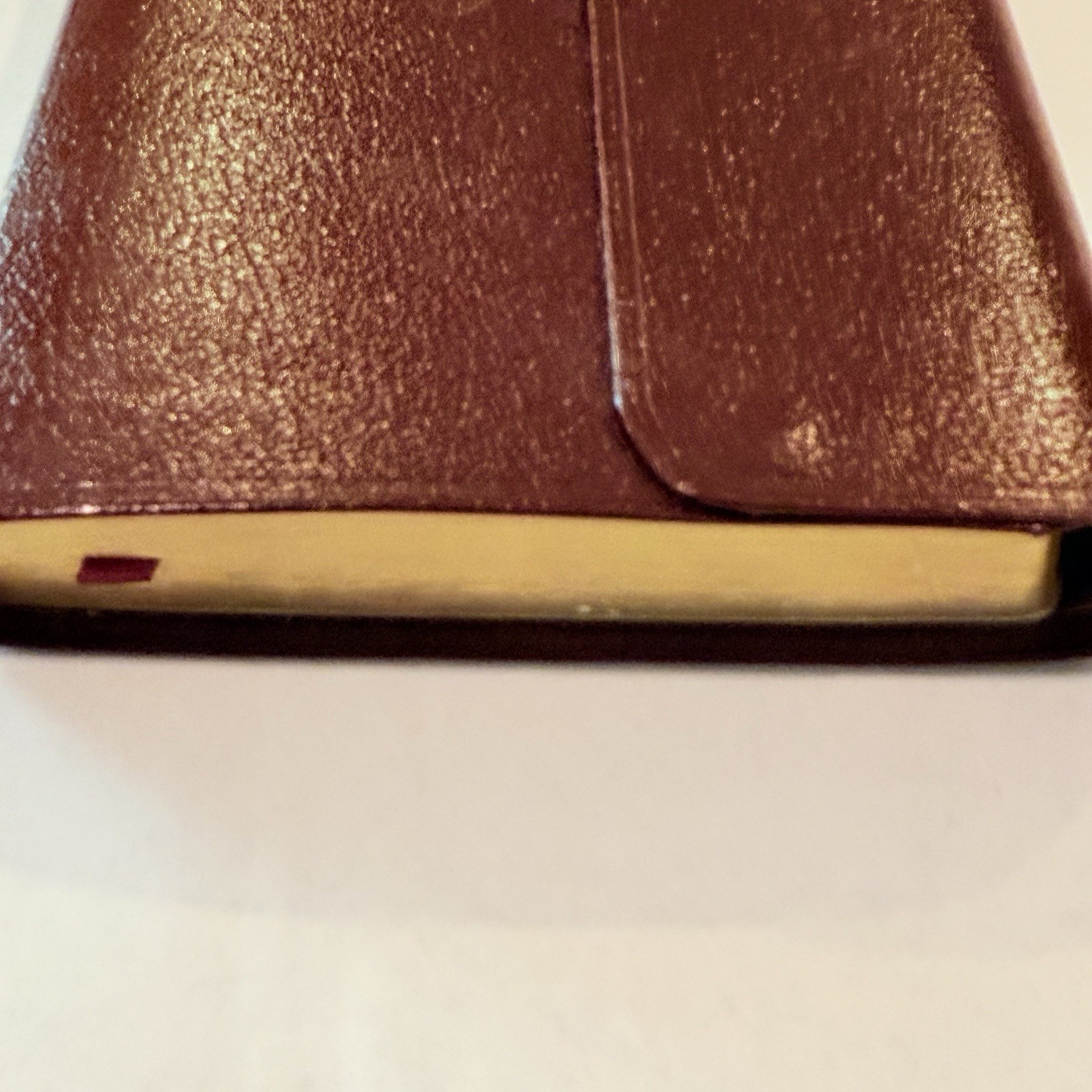 The Holman Pocket-Size Bible: New International Version : Burgundy Bonded