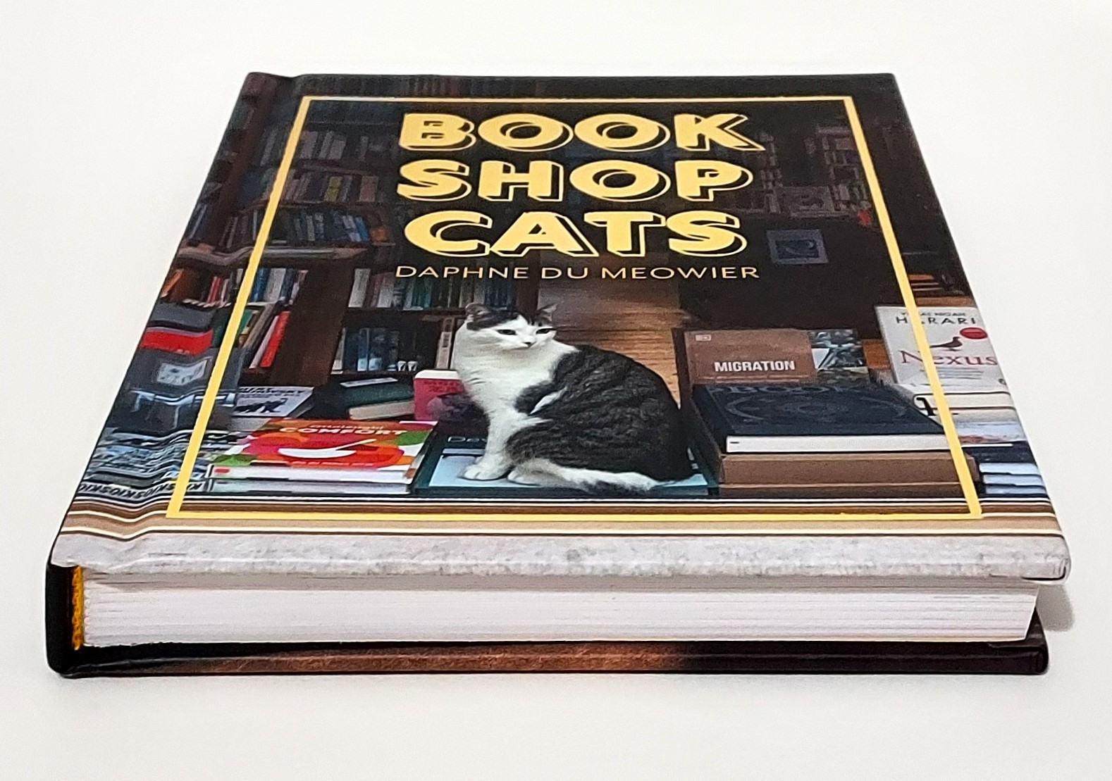 Bookshop Cats by Daphne du Maurier Hardcover Book Like New Literary Collection