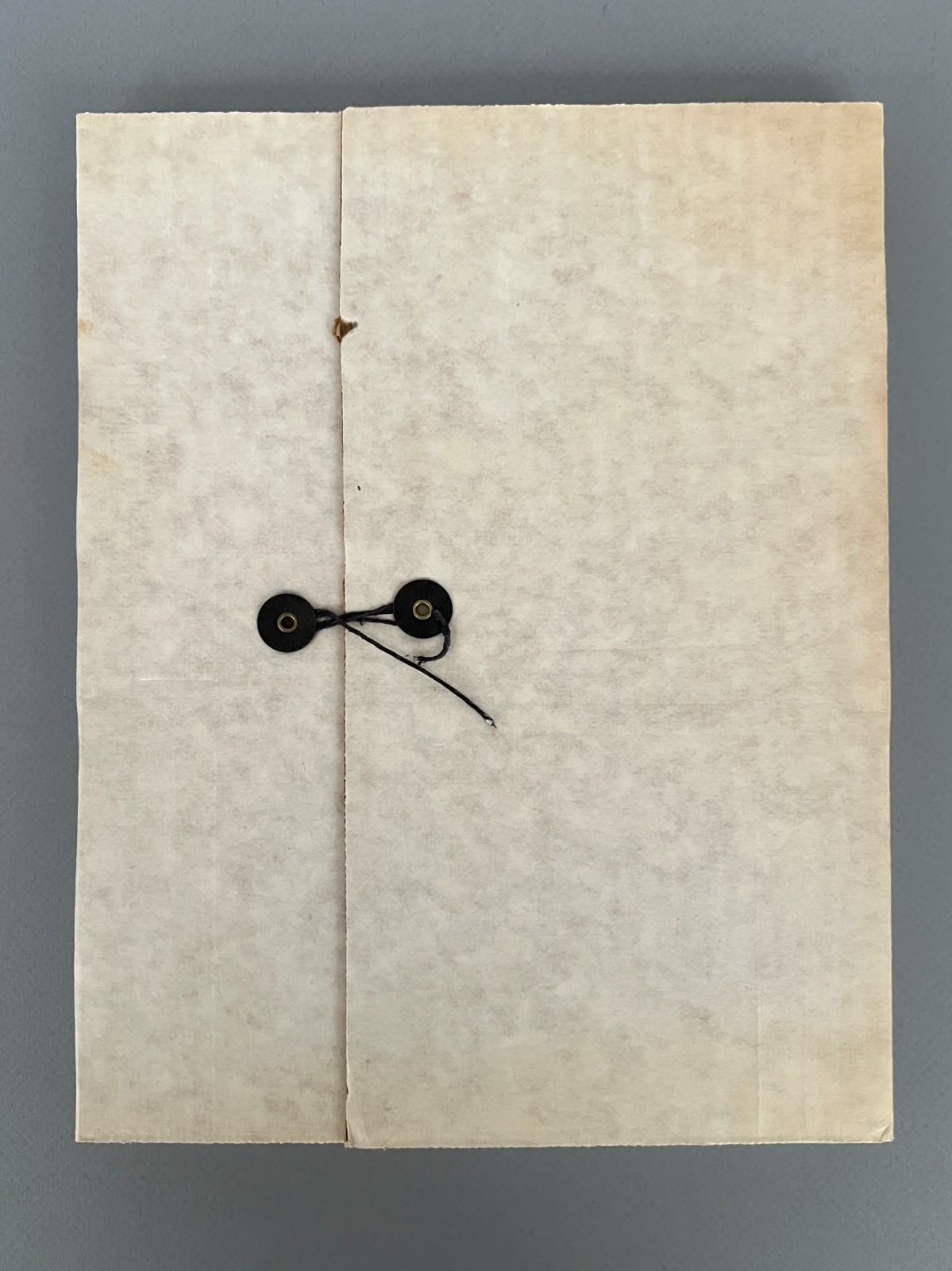GEORGE HERMS Los Angeles Municipal Art Gallery THE SECRET ARCHIVES Portfolio ’92