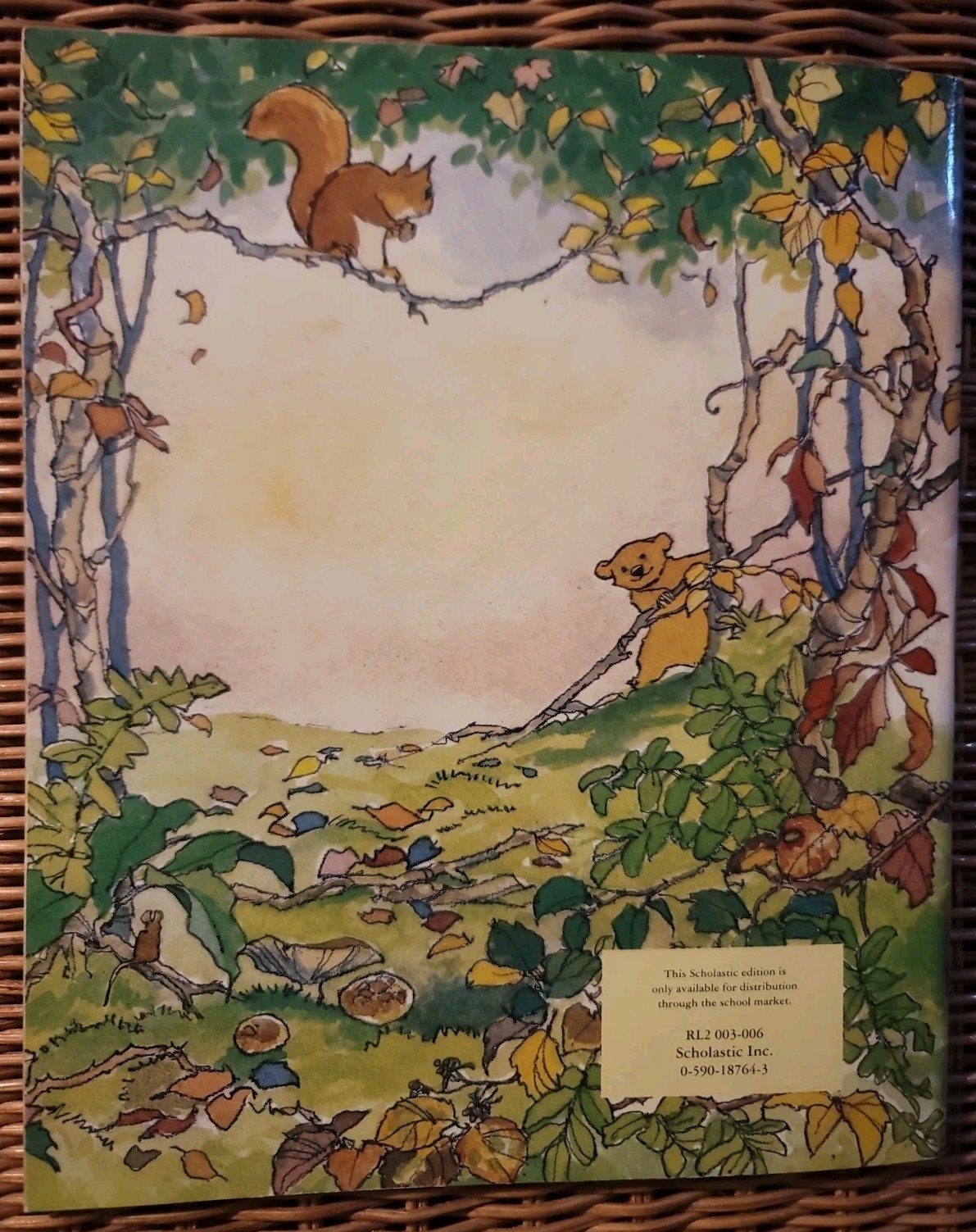 Let’s Go Home, Little Bear & You and Me, Little Bear by Martin Waddell