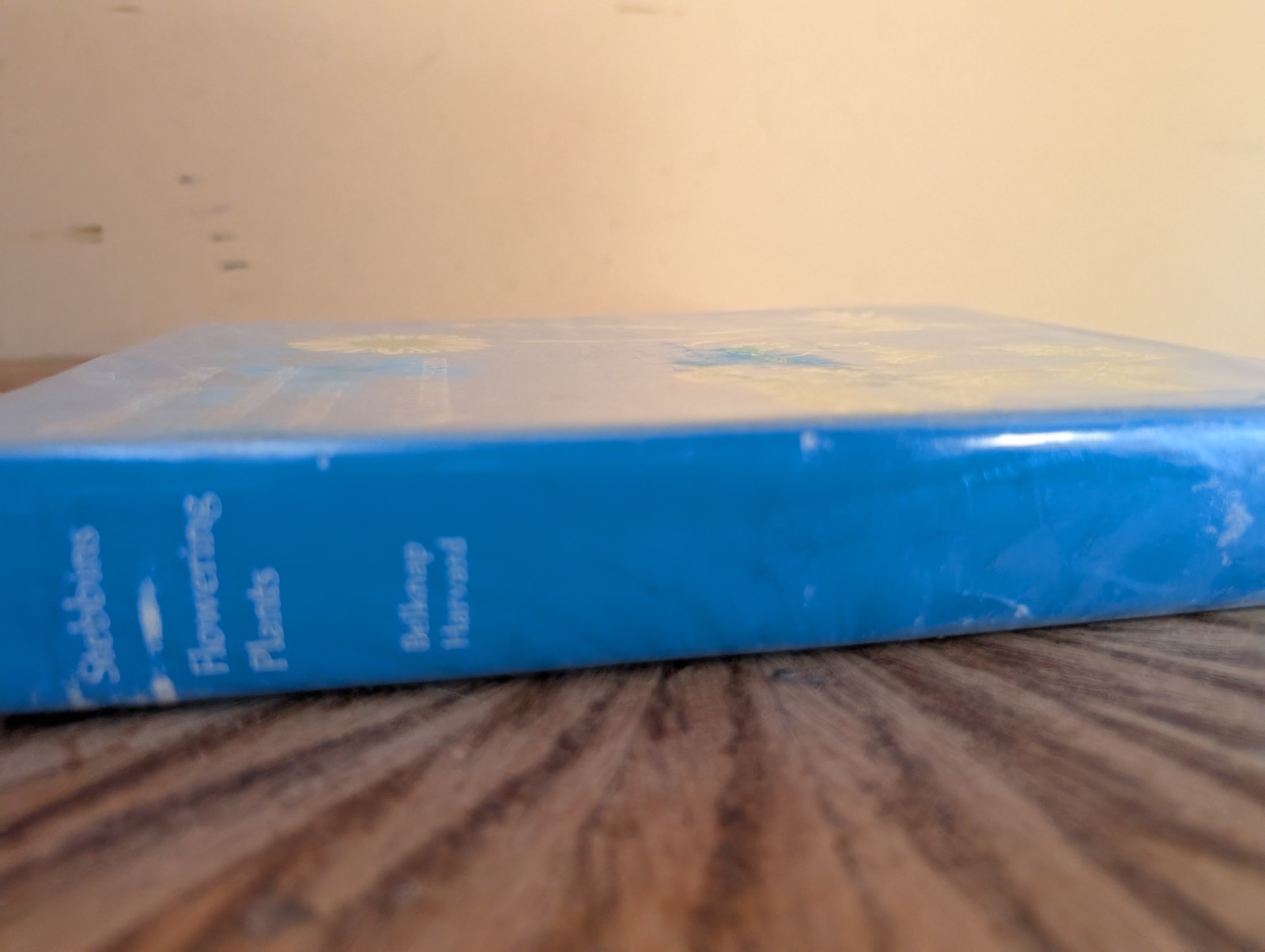Flowering Plants: Evolution above the Species Level – Hardcover