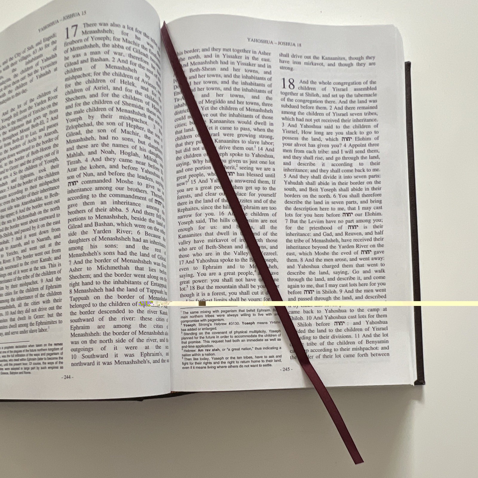 Restoration Scriptures True Name Edition 2004 HC Ribbon Bookmark Eng/Heb