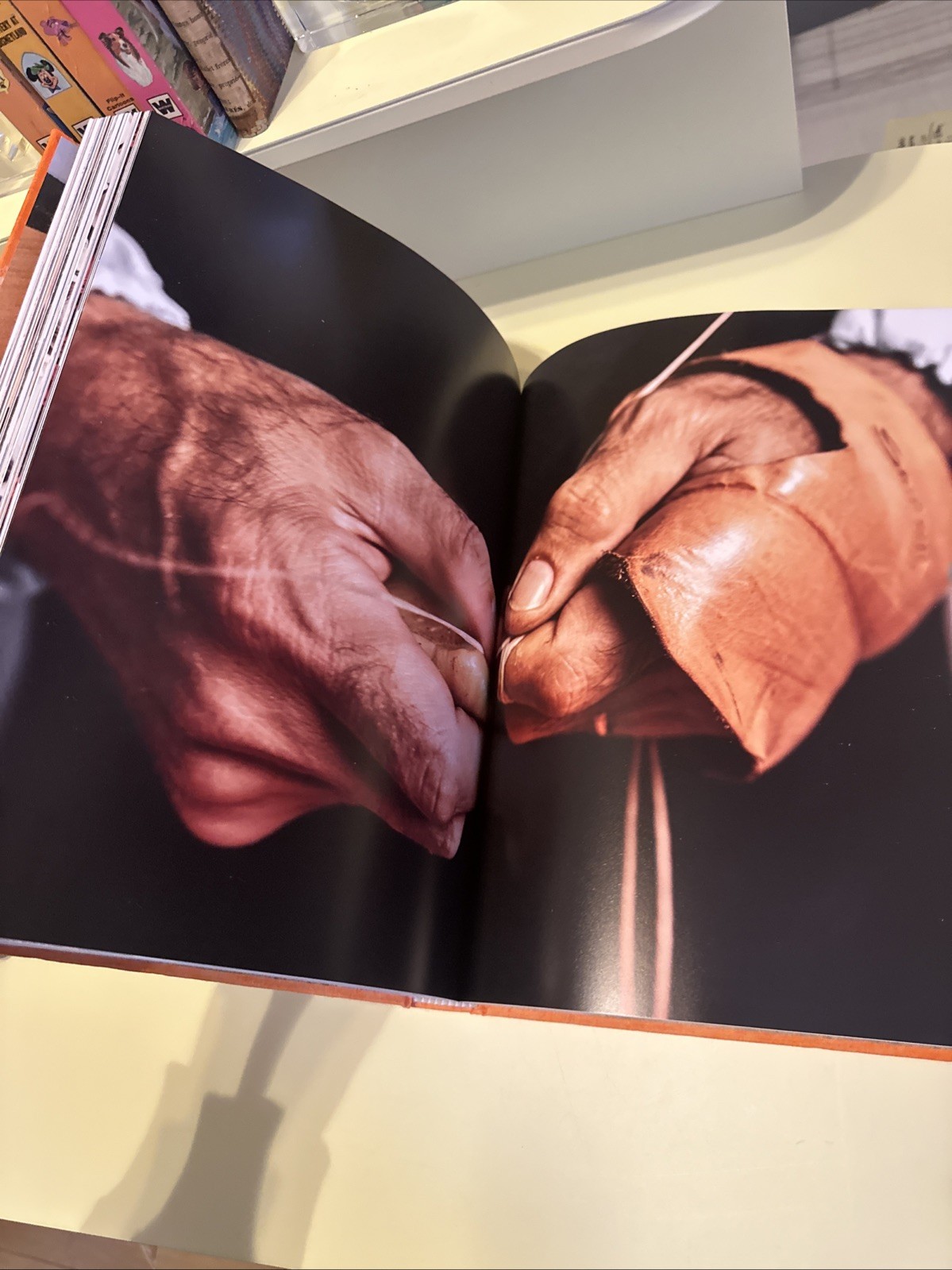 SANTONI MERAVIGLIA MAGAZINE BOOK INTERIOR DESIGN HC COLLECTIBLE TABLETOP BOOK 02