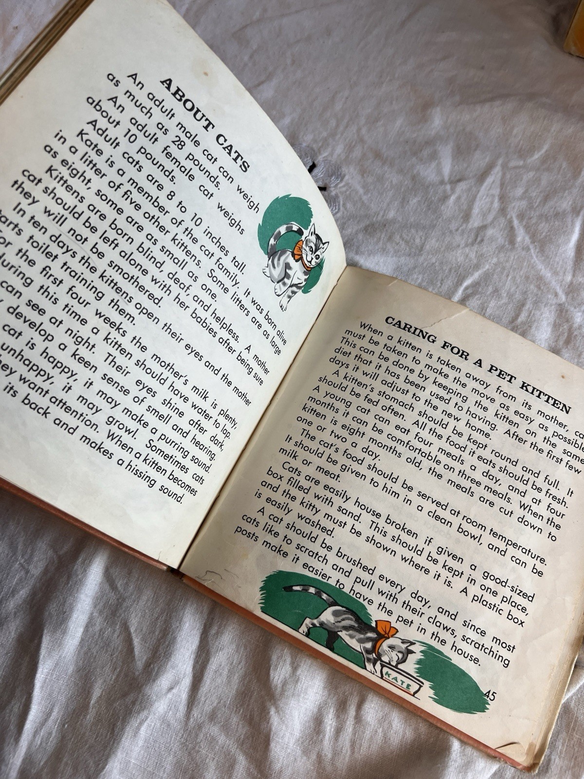 Lot of 2 Vintage 1969 & 1970 – Kate the Cat & Doc the Dog – Illustrated HC Books