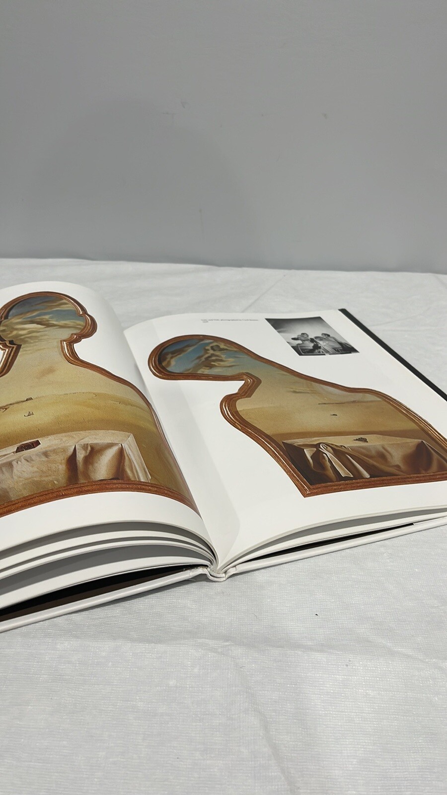 Salvatore Dali by Gilles Neret Taschen book 2012-2013 edition