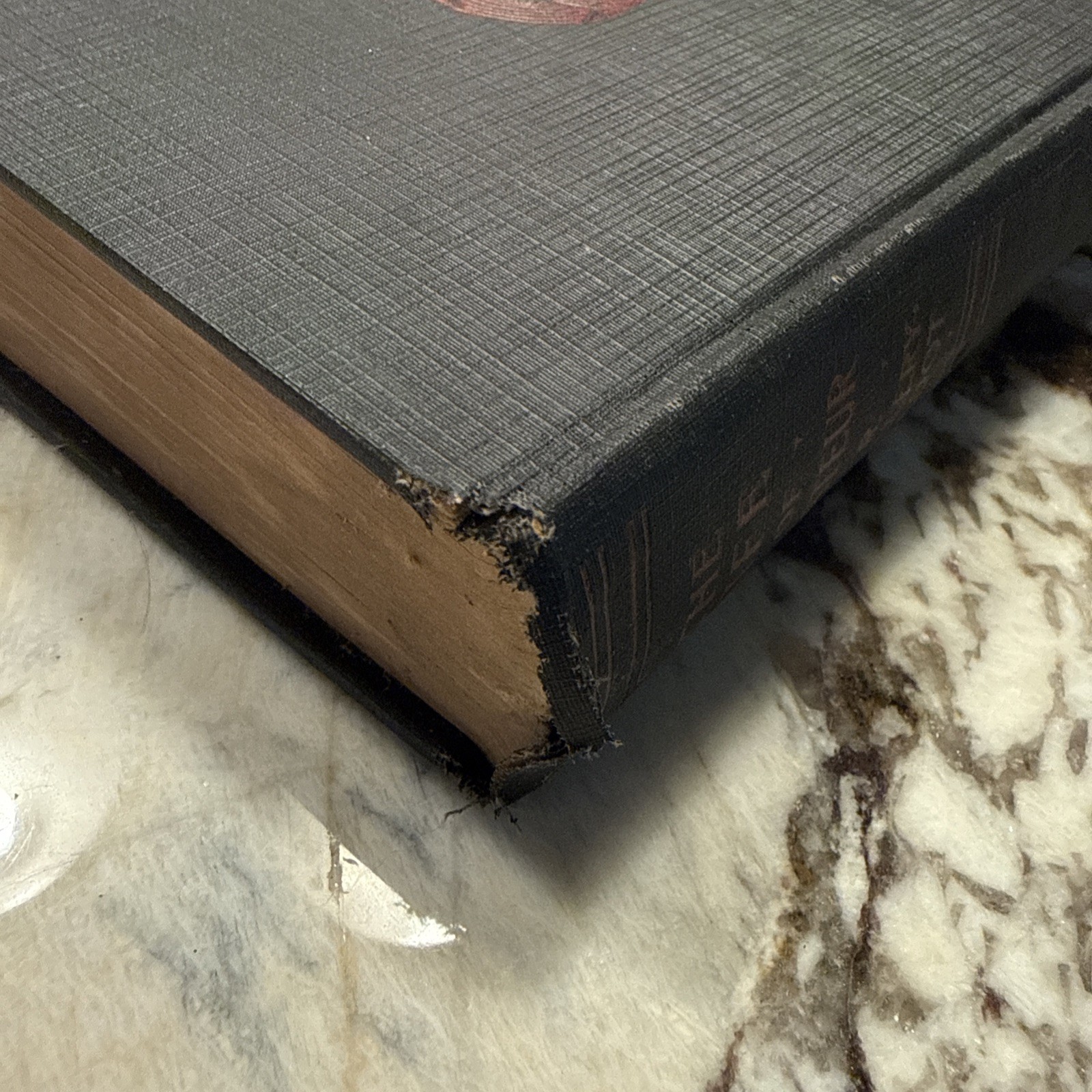 1927 The Life of Pastor Rene Gallery-Radot Hardcover Garden City Publishing Bio