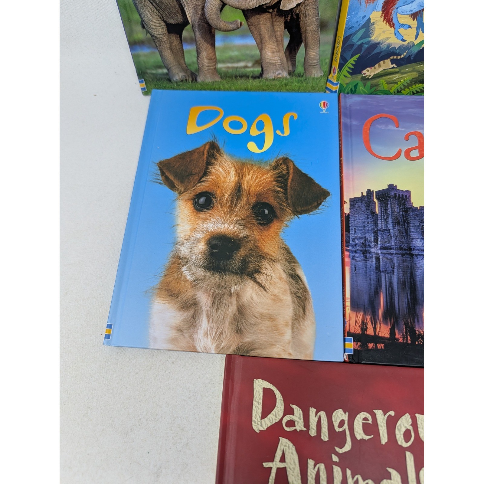 Usborne Beginners Books Lot of 8 Hardcover Dinosaurs Animals Astronomy Trains