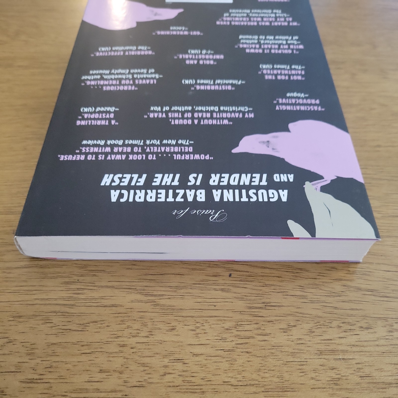 Nineteen Claws and a Black Bird – Agustina Bazterrica – TPB B&N Exclusive 2024