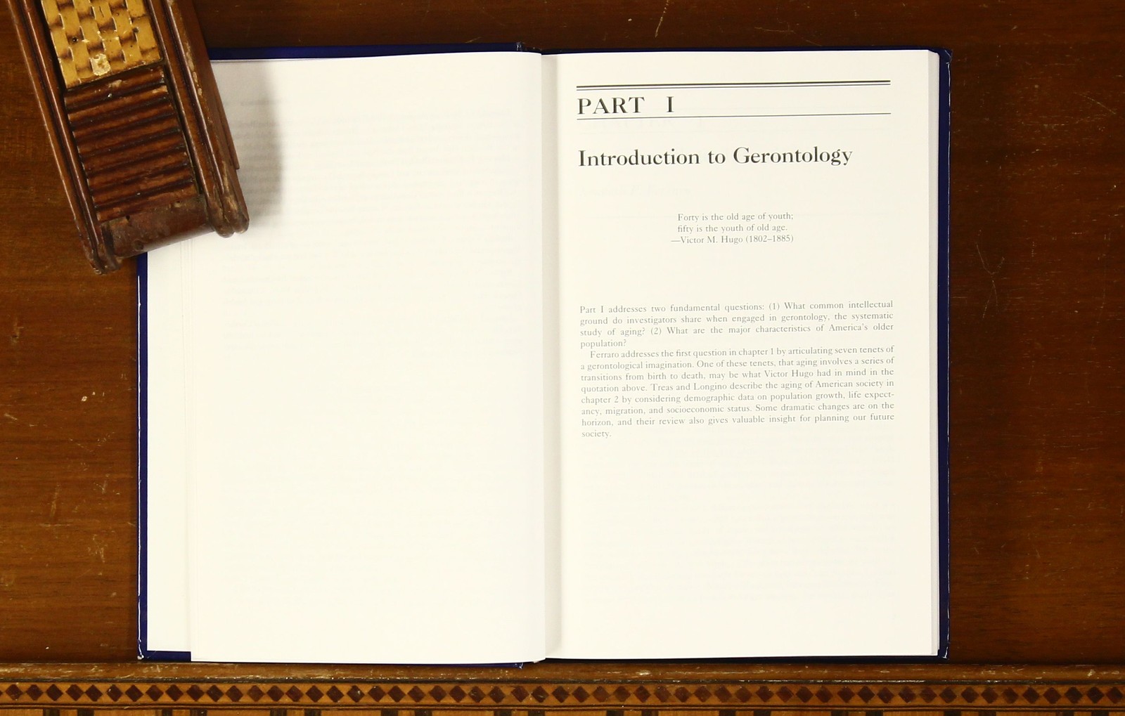 Kenneth Ferraro: Gerontology: Perspectives and Issues 2nd Edition Springer HC