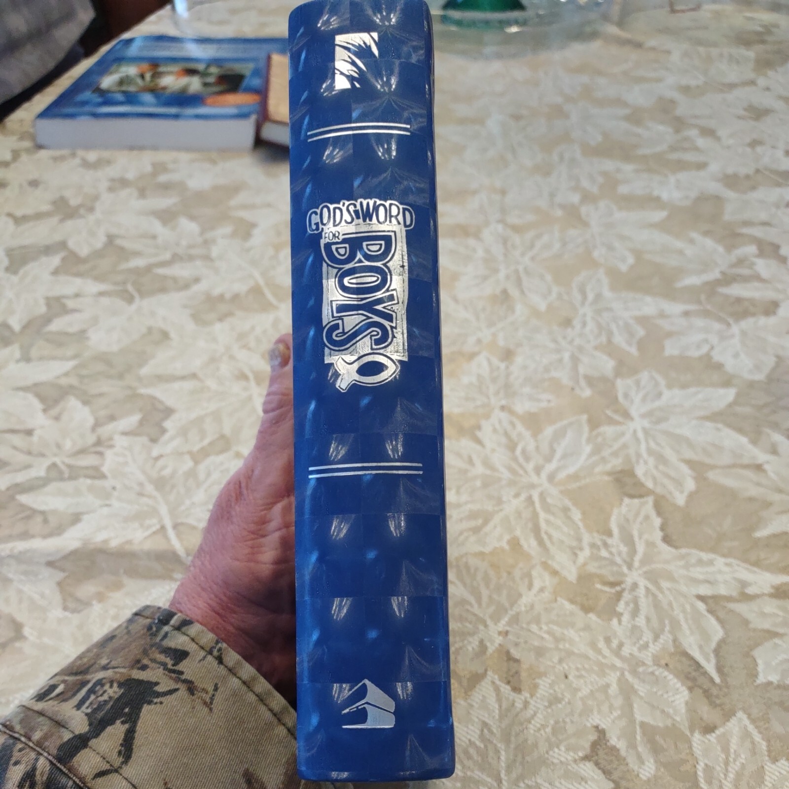 GODS WORD for Boys Blue Prism Duravella VERY GOOD 2008 “3D Cover”