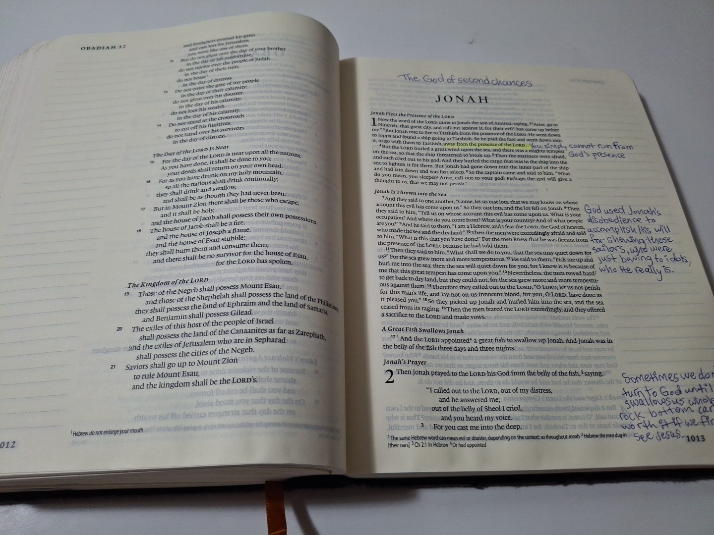 ESV Single Column Journaling Bible, Artist Series, Hardcover, Joshua Noom