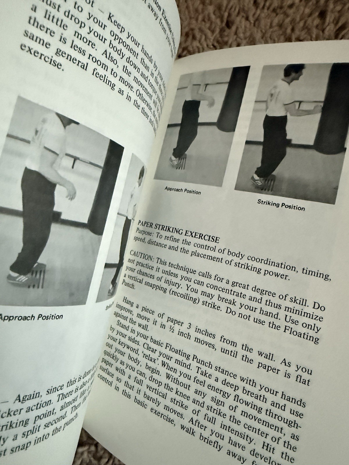 Bruce Lee’s 1 and 3 Inch Power Punch Book 1997 by DeMille, James W. Martial Arts