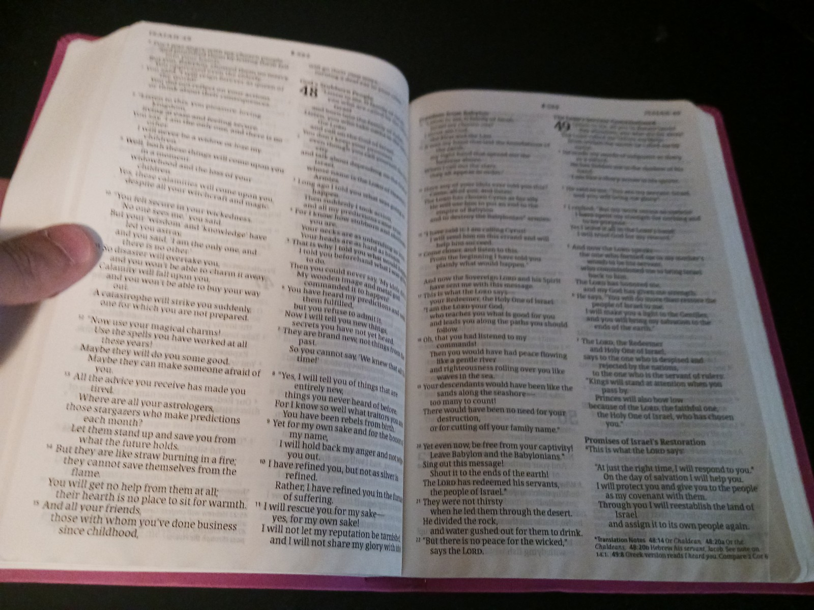 Tyndale NLT Large Print Thinline Bible Pink Floral Imitation Leather Filament