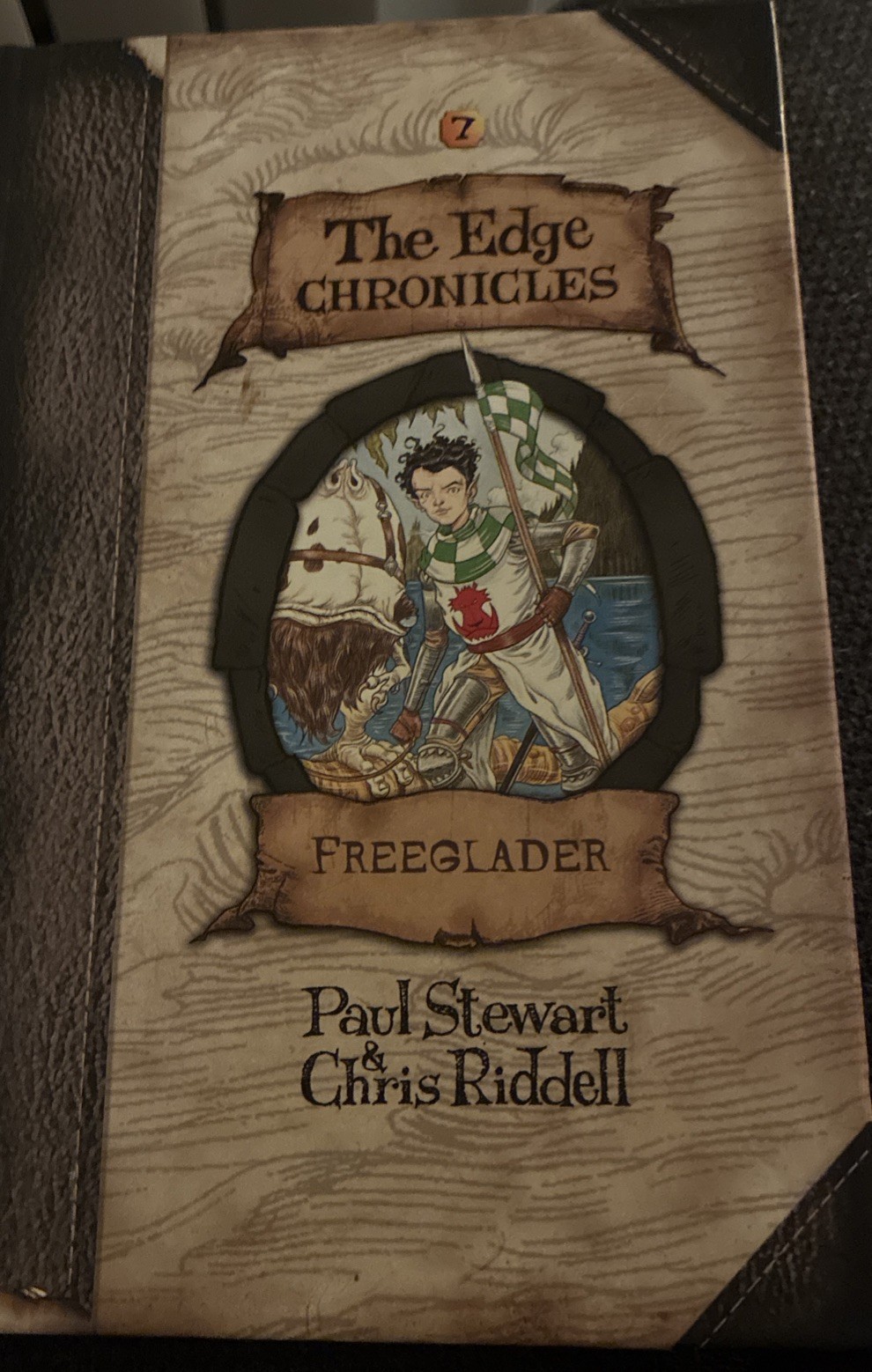 Chris Riddell SIGNED ORIGINAL SKETCH DRAWING The Edge Chronicles Freeglader OOAK